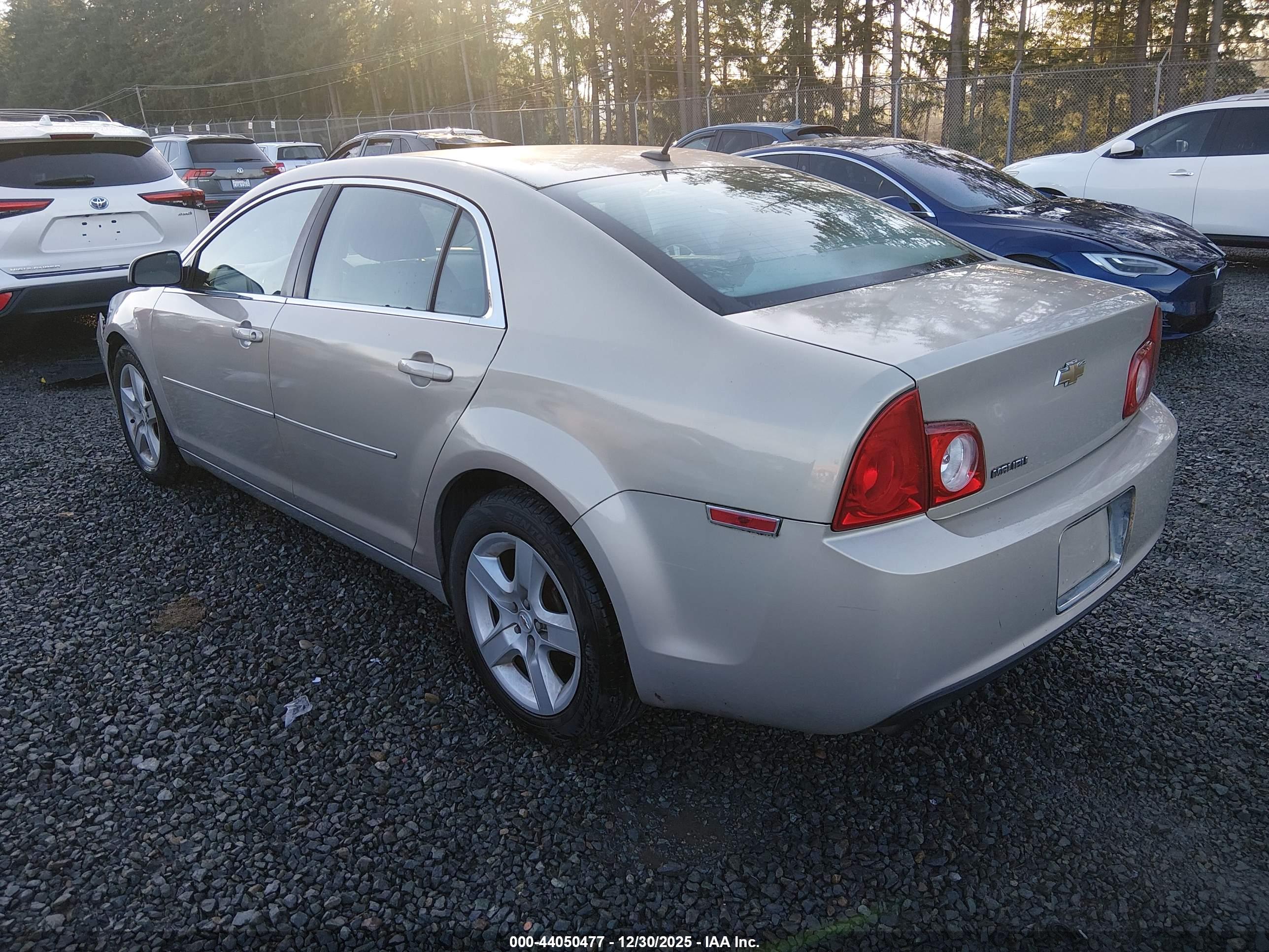 CHEVROLET MALIBU image 3