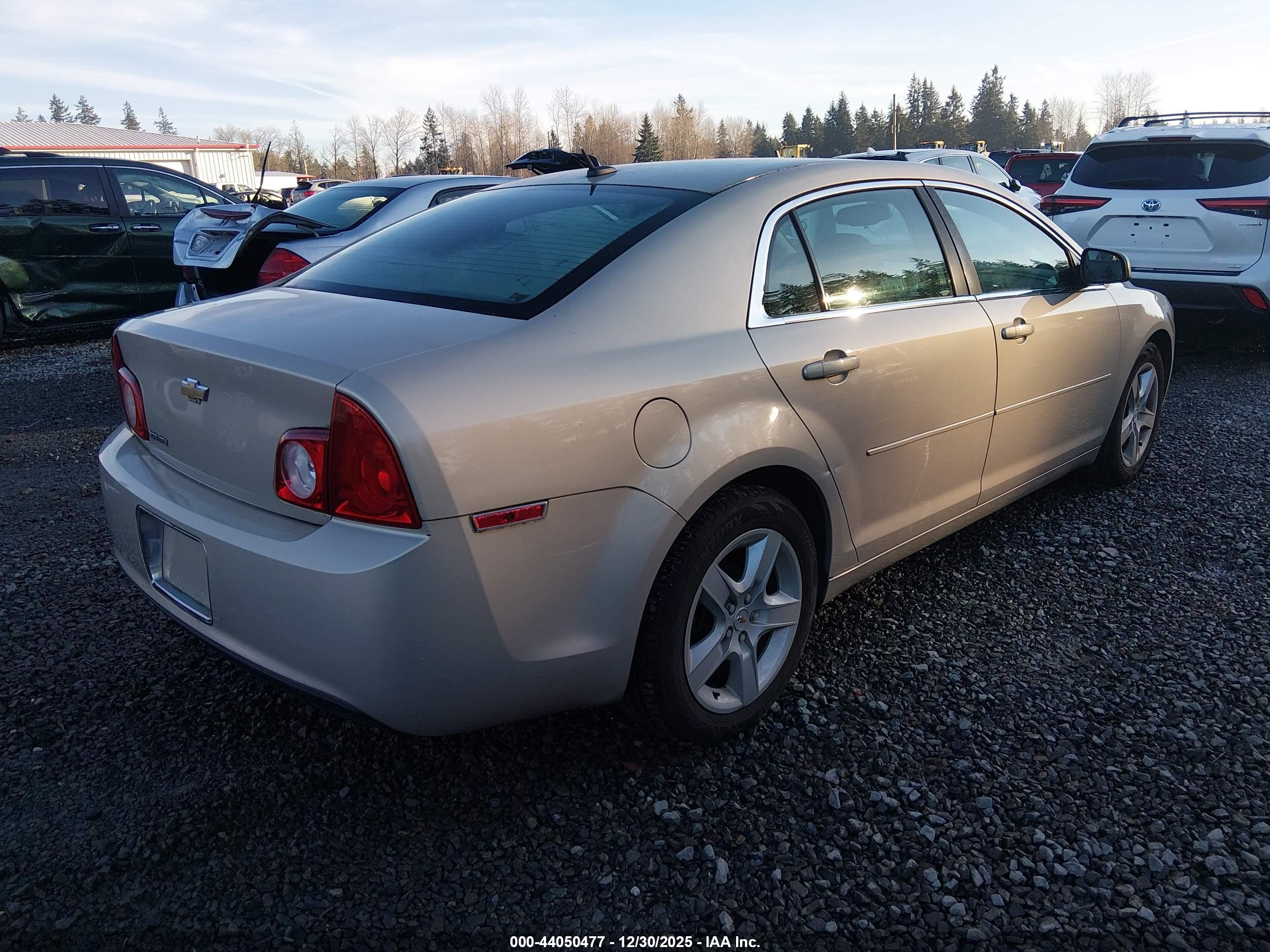 CHEVROLET MALIBU image 4