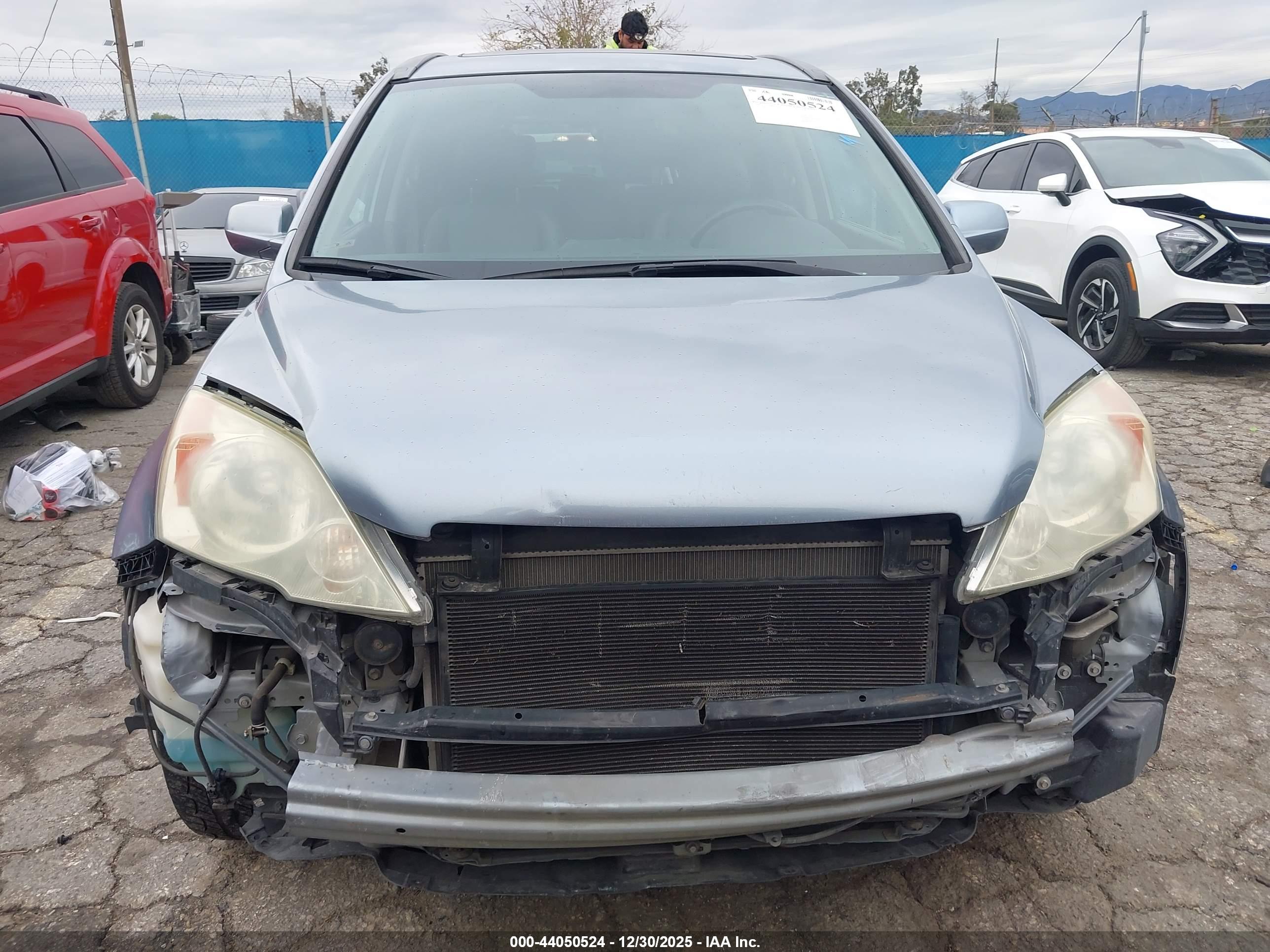 HONDA CR-V image 6