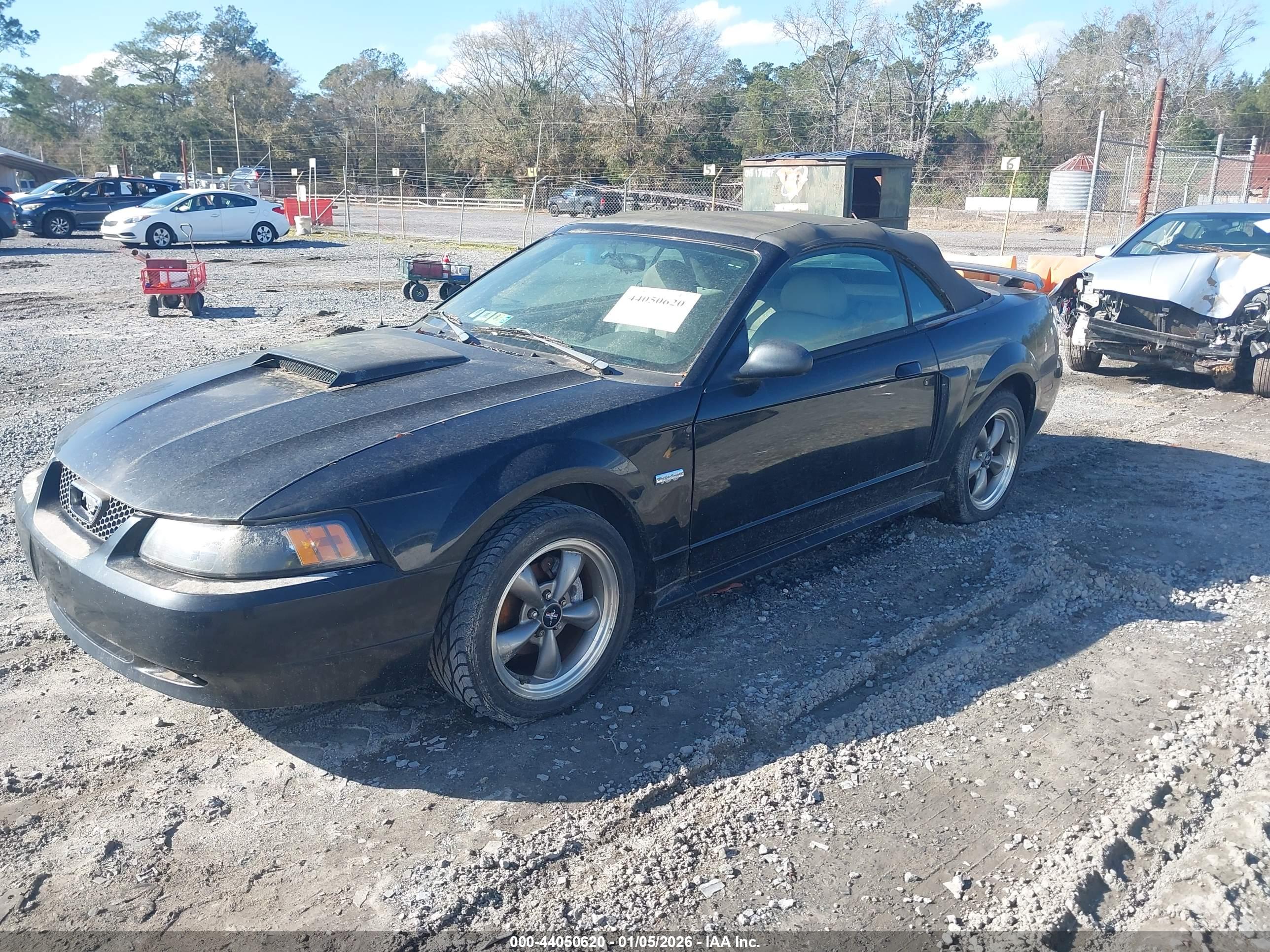 FORD MUSTANG image 2