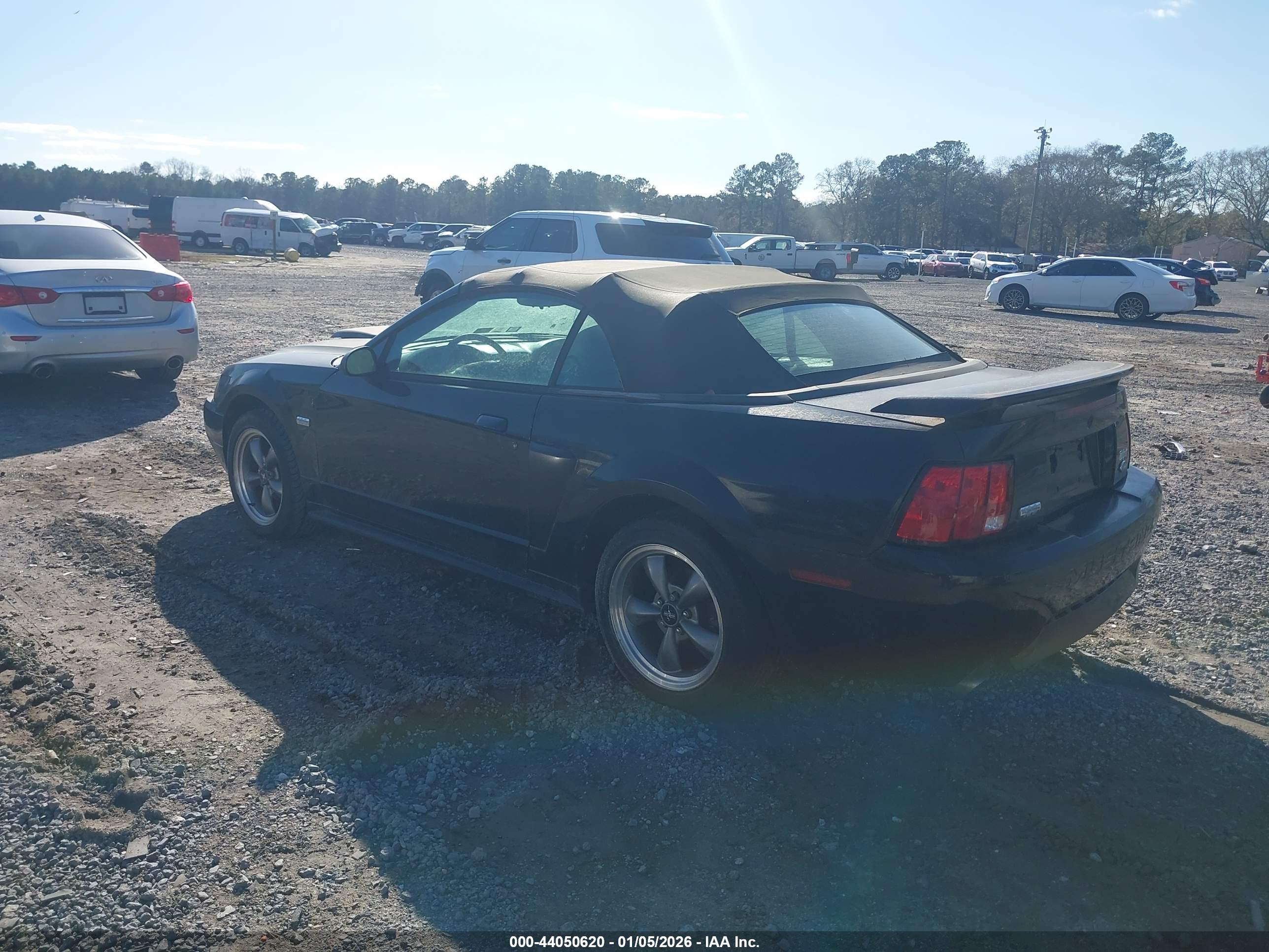 FORD MUSTANG image 3
