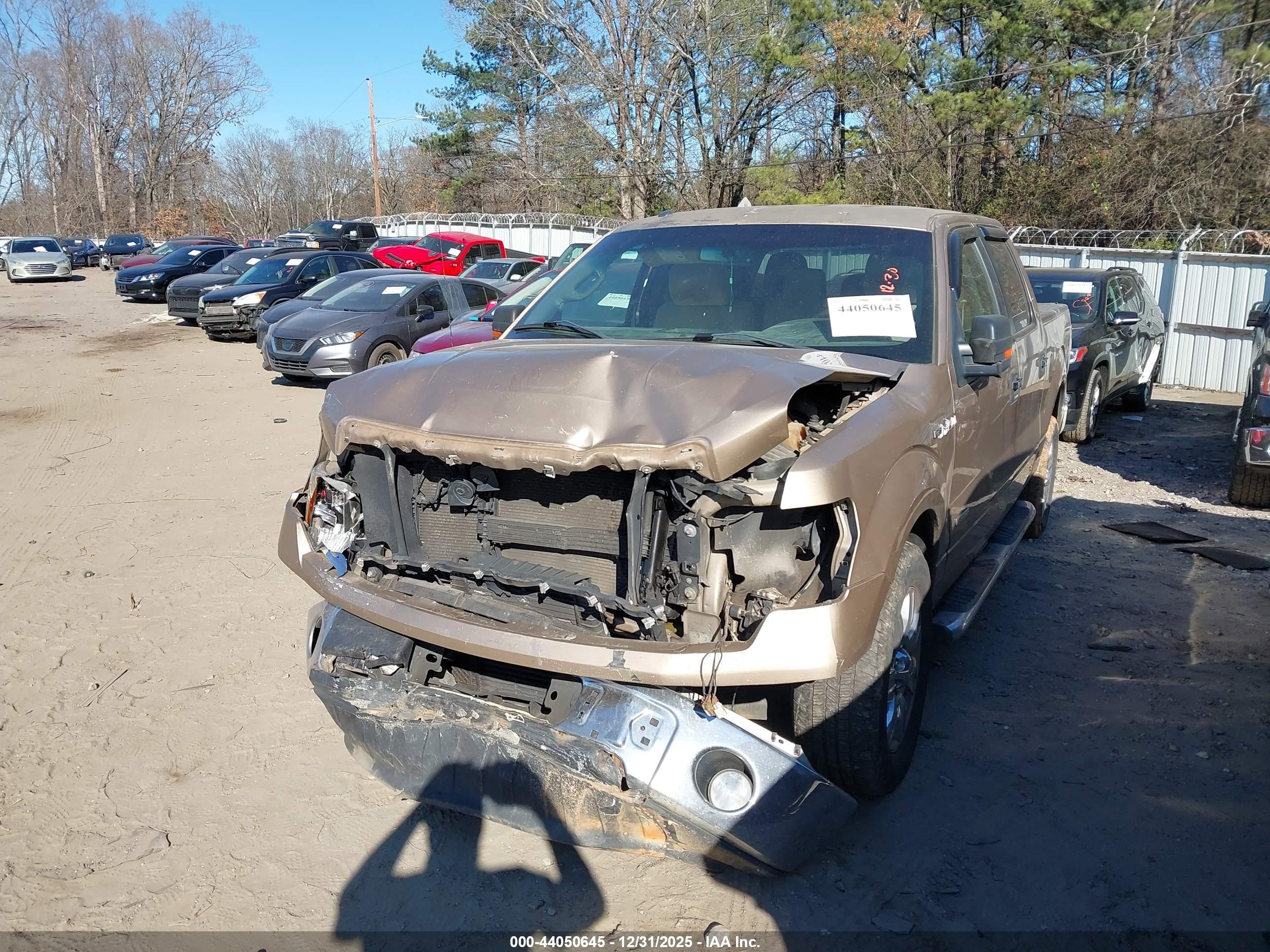 FORD F-150 image 2