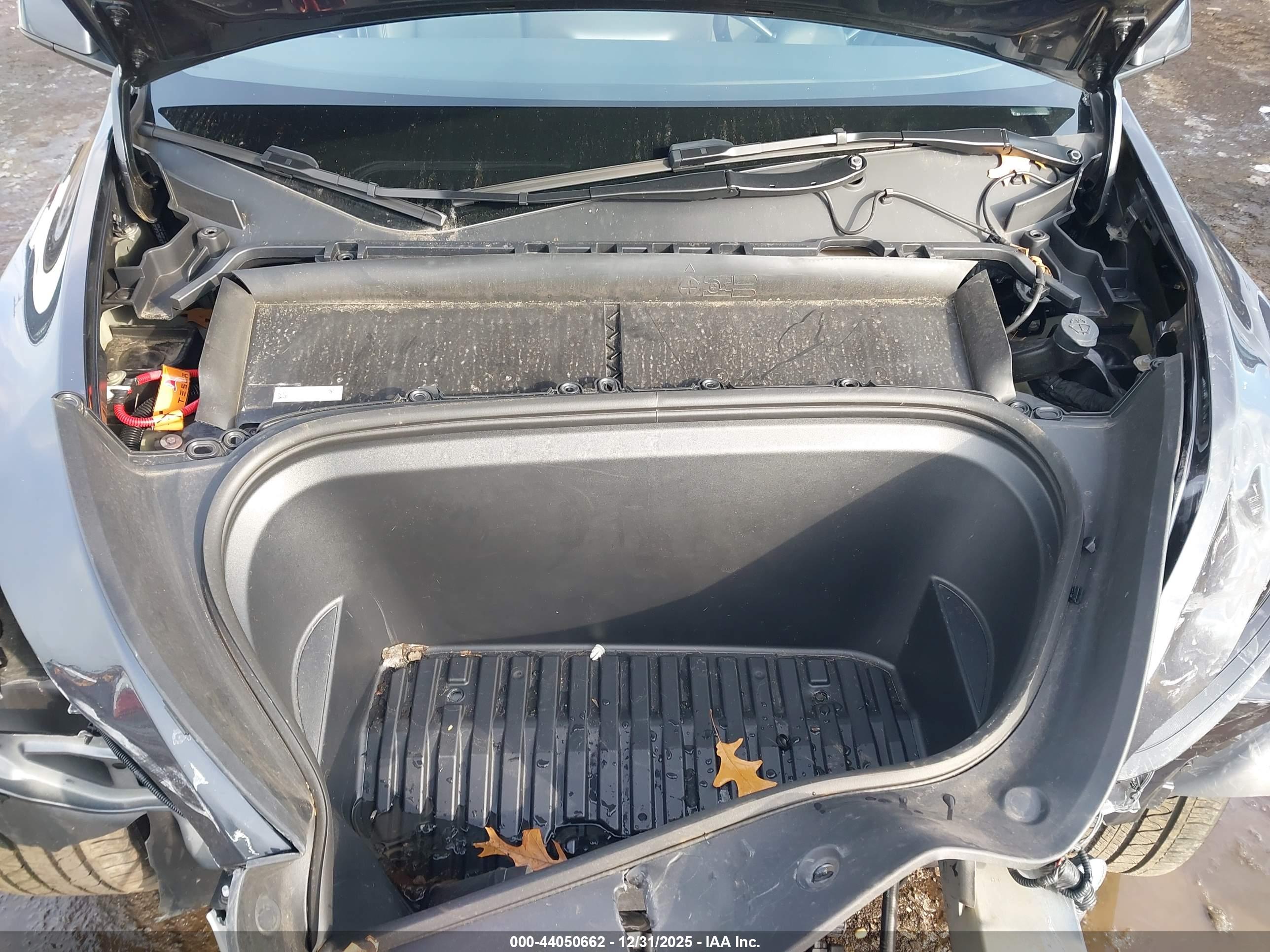 TESLA MODEL image 10