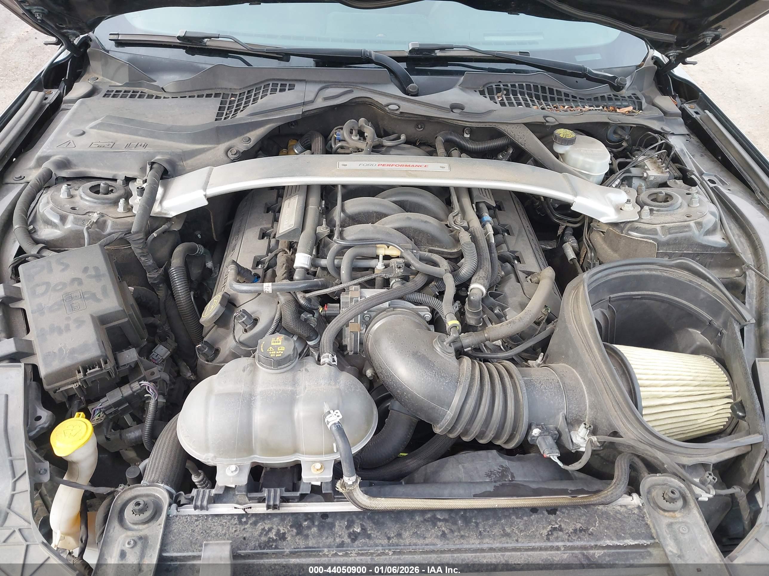 FORD SHELBY image 10