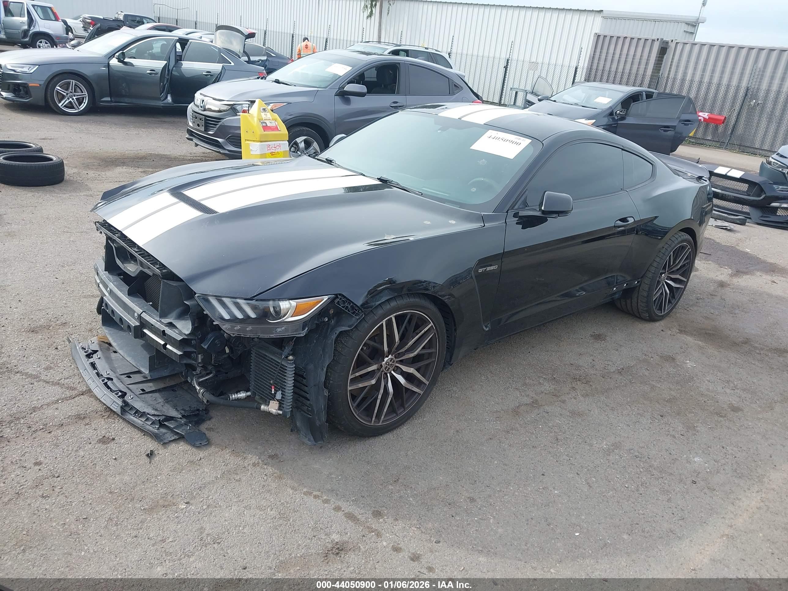 FORD SHELBY image 2