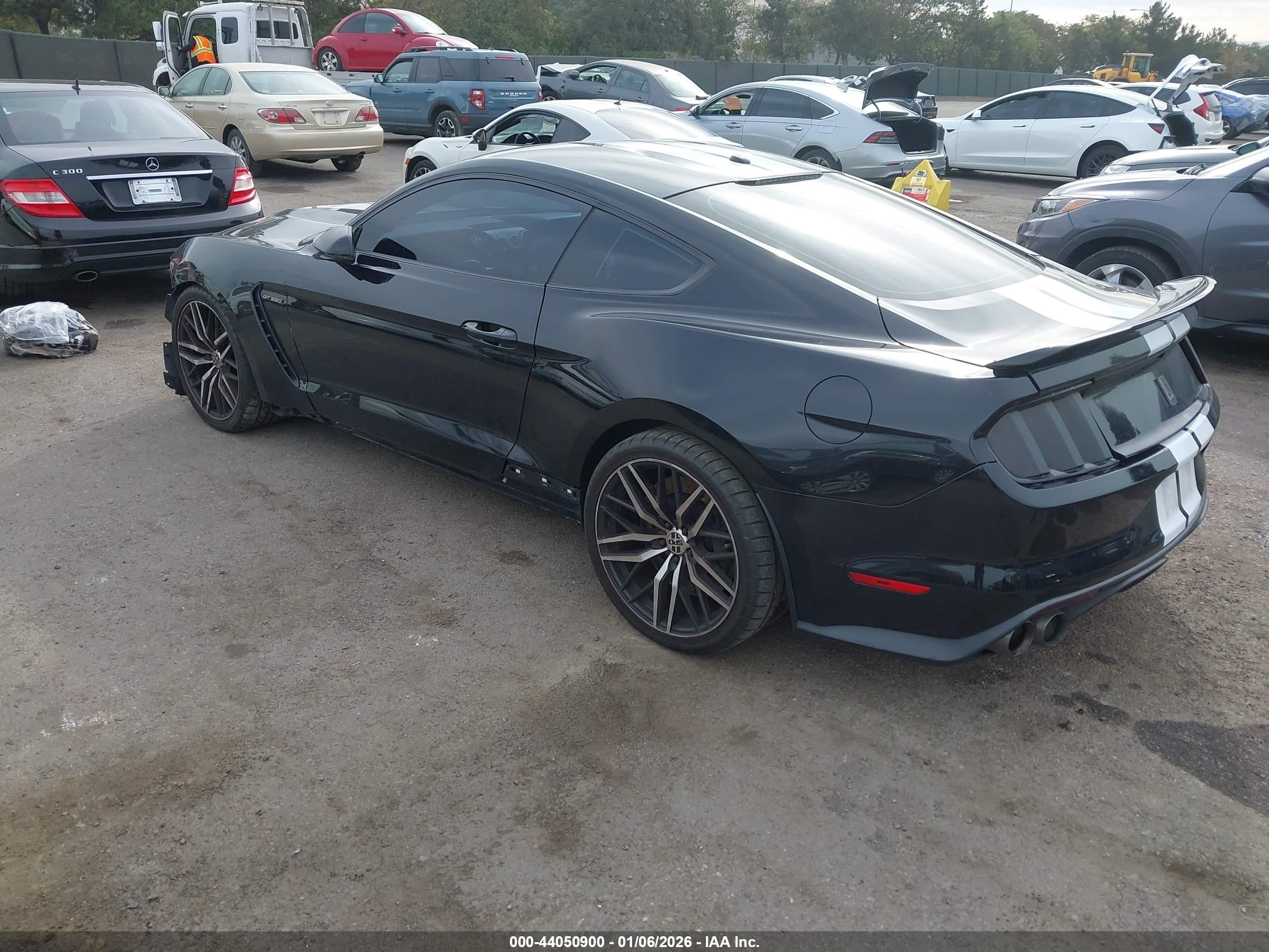 FORD SHELBY image 3