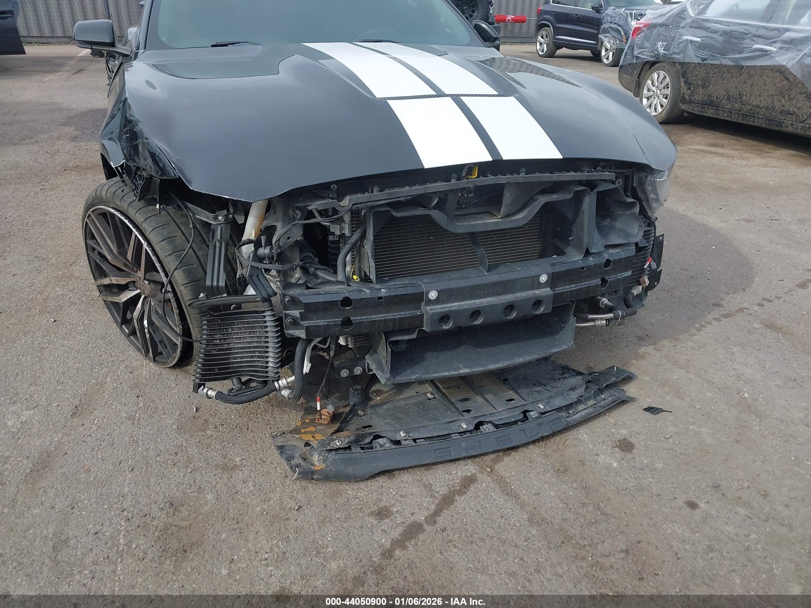 FORD SHELBY image 6