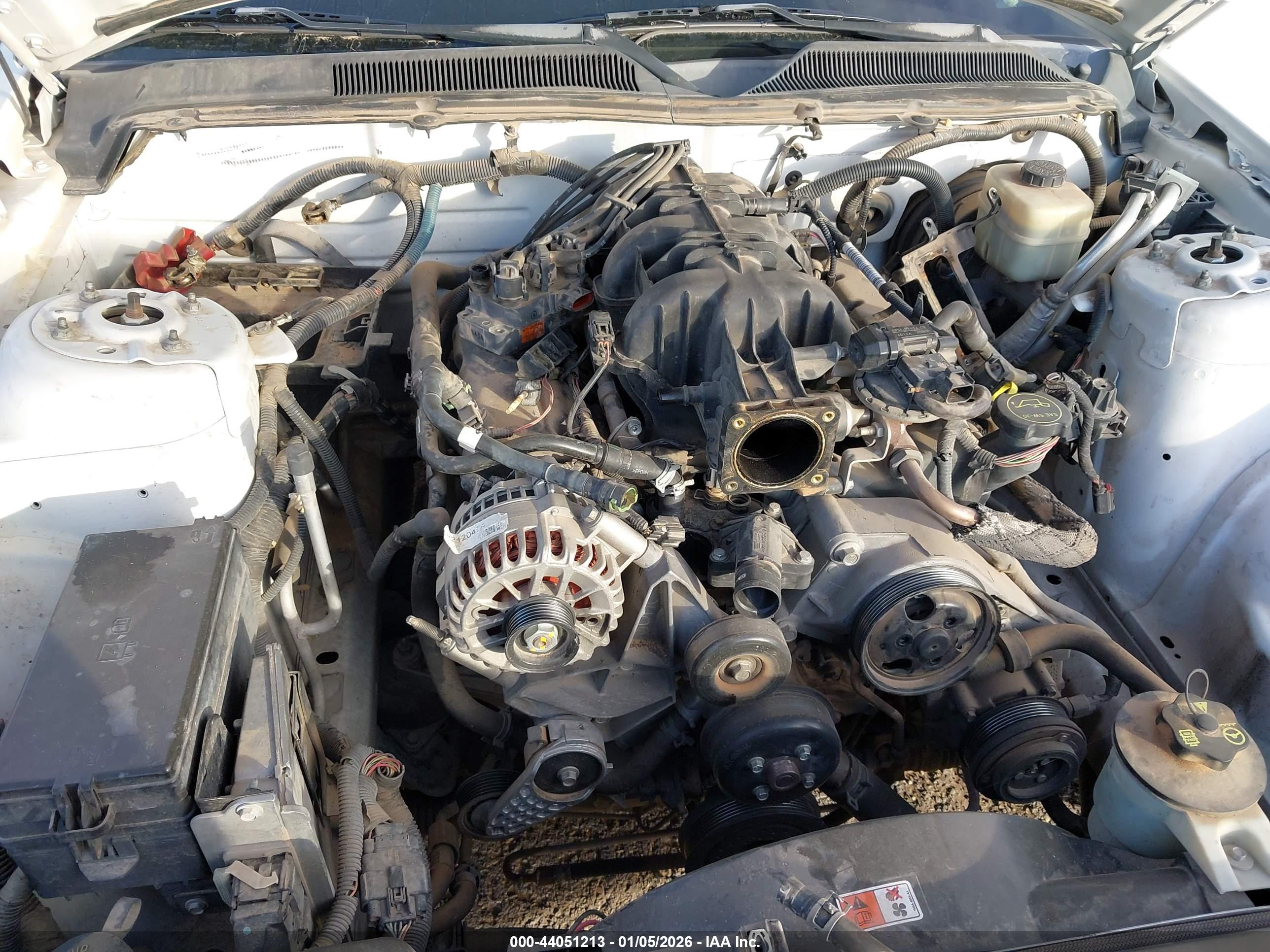 FORD MUSTANG image 6