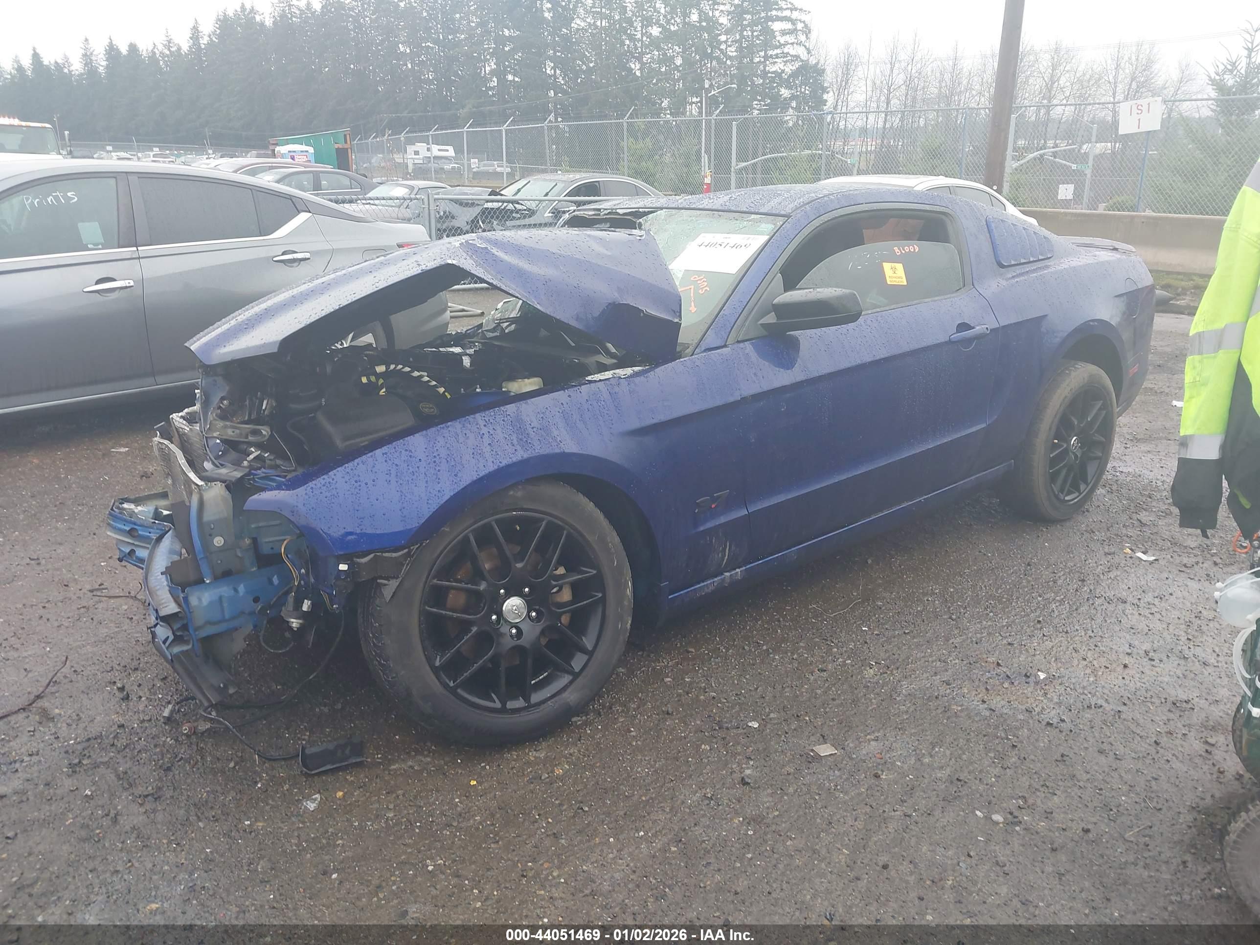 FORD MUSTANG image 2