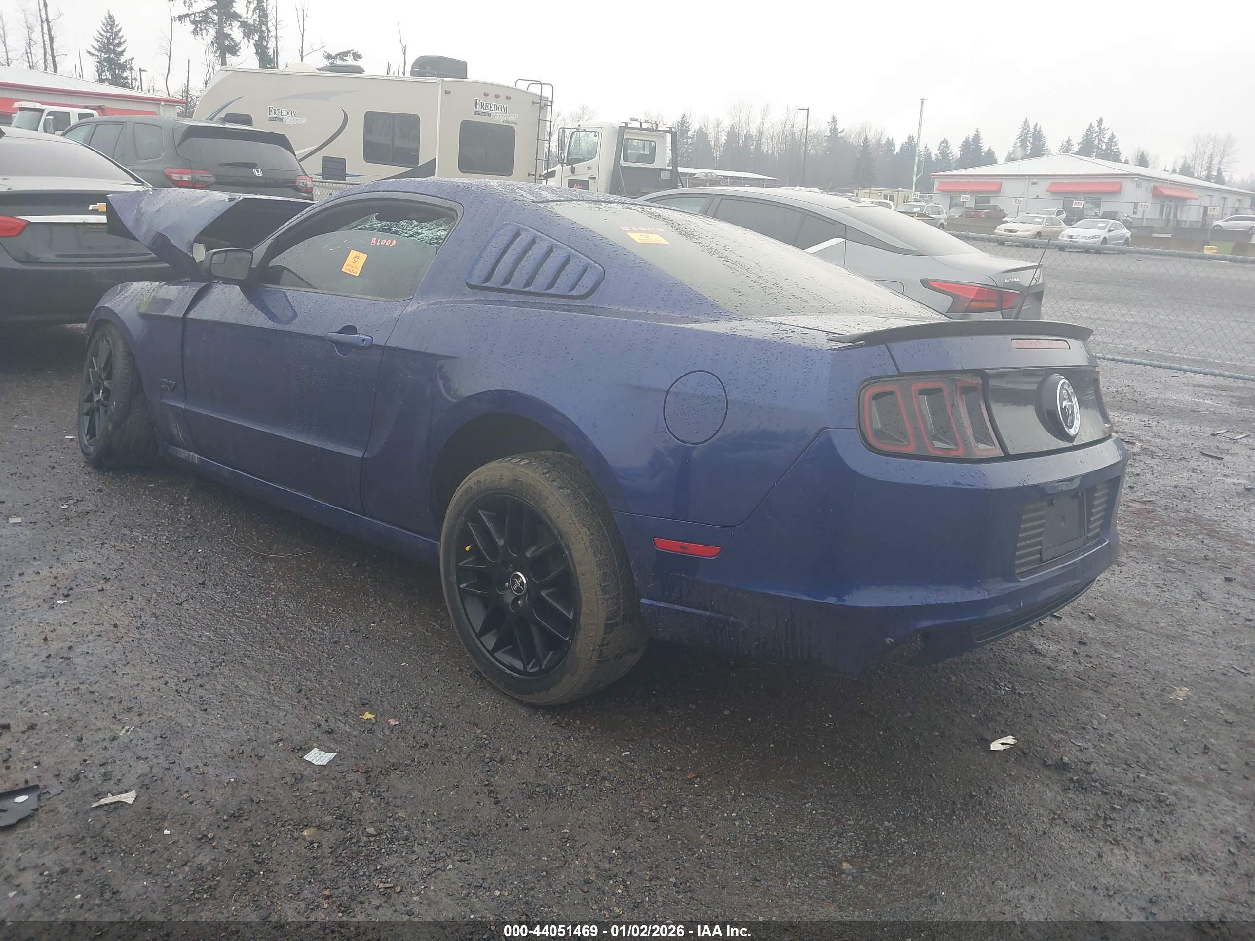 FORD MUSTANG image 3