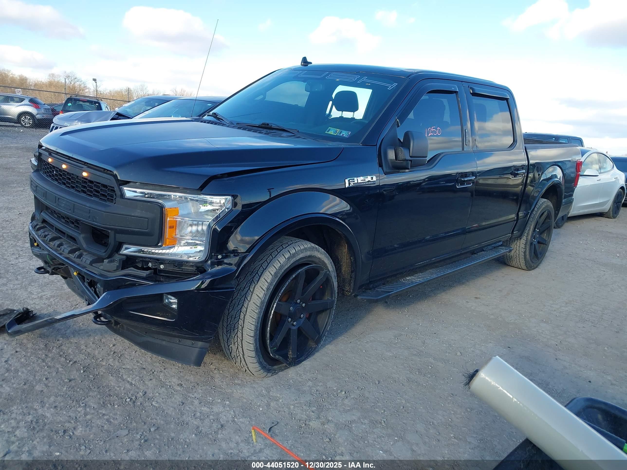 FORD F-150 image 2