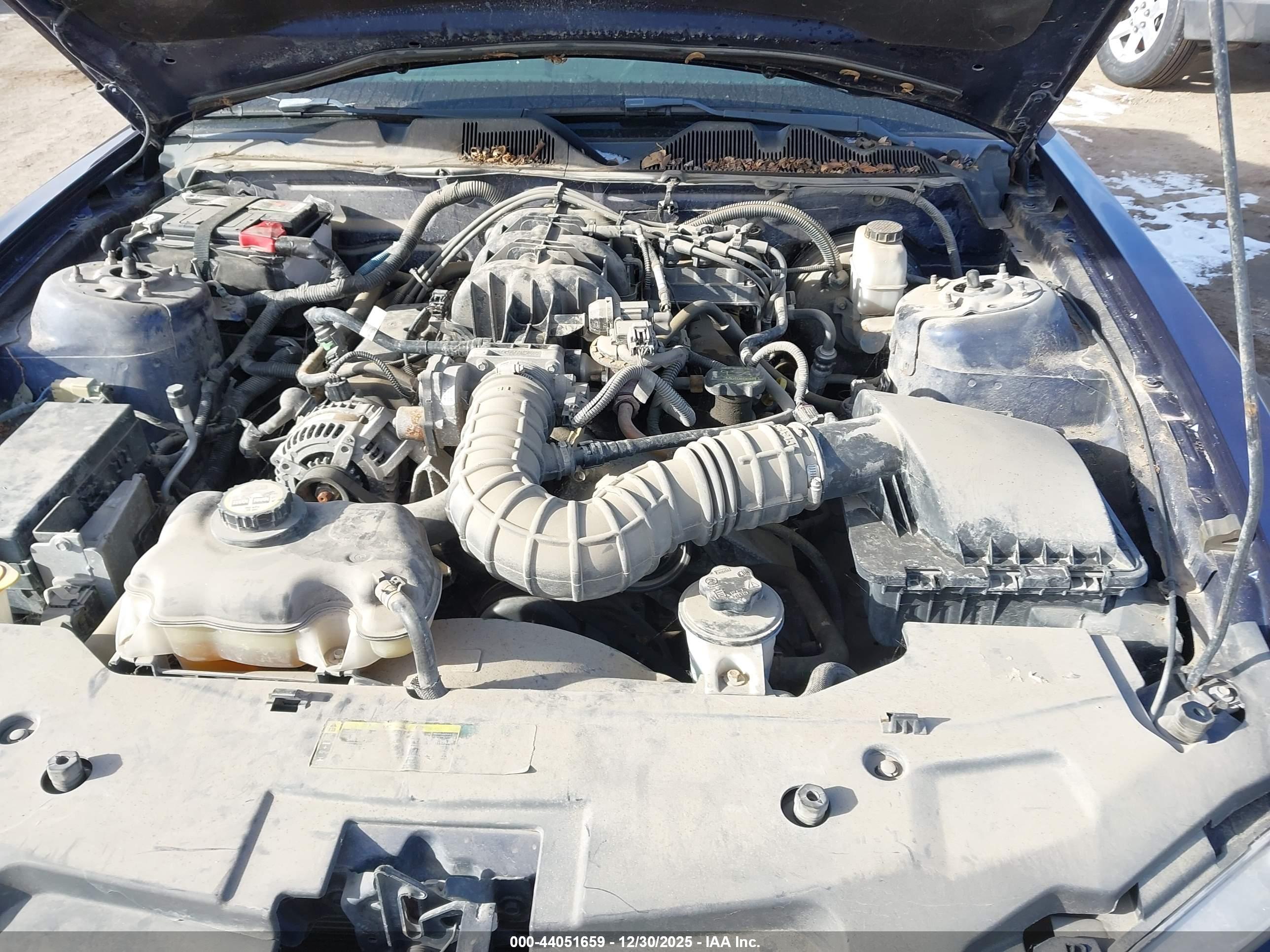 FORD MUSTANG image 10