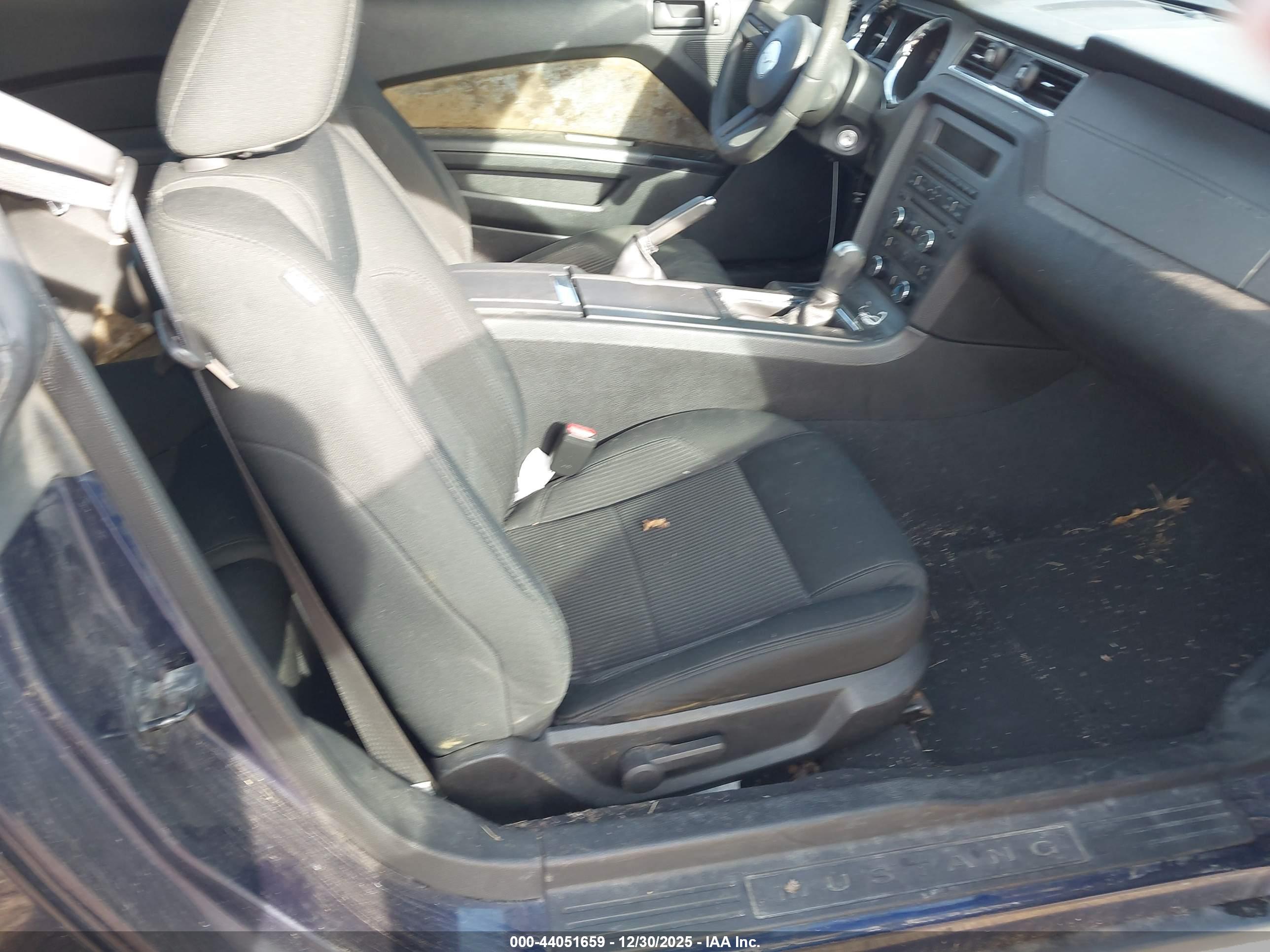 FORD MUSTANG image 5