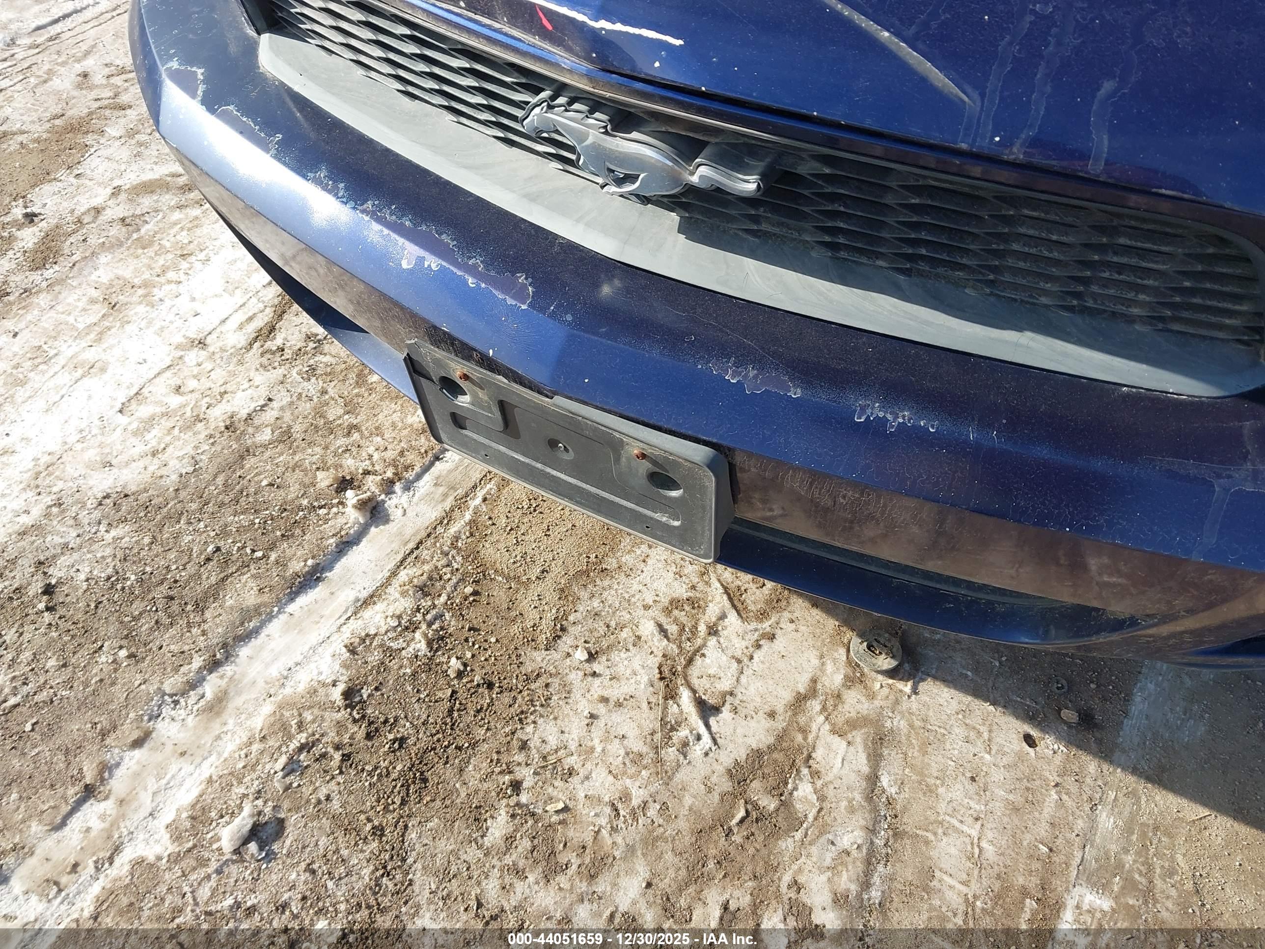 FORD MUSTANG image 6