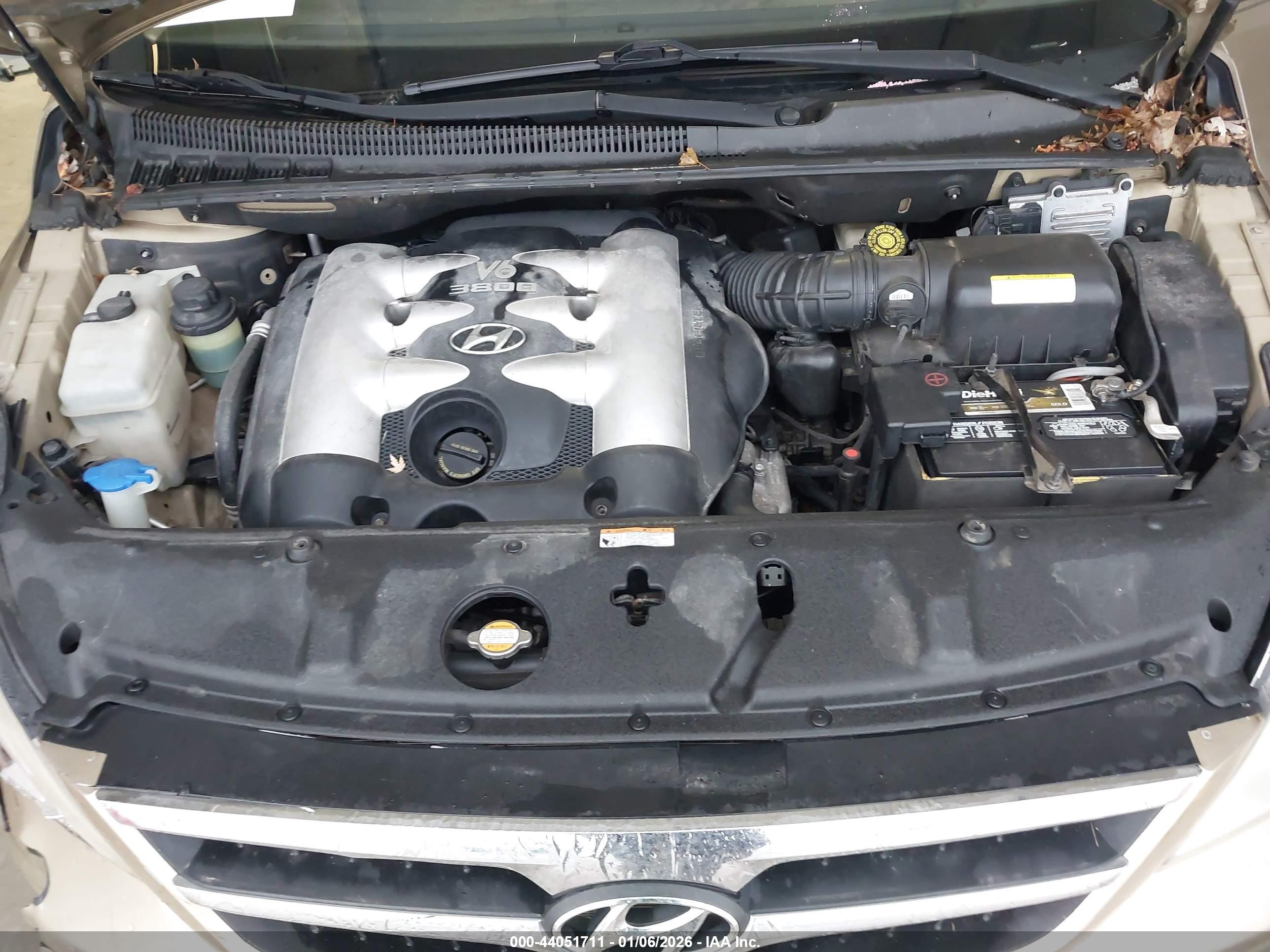 HYUNDAI ENTOURAGE image 10