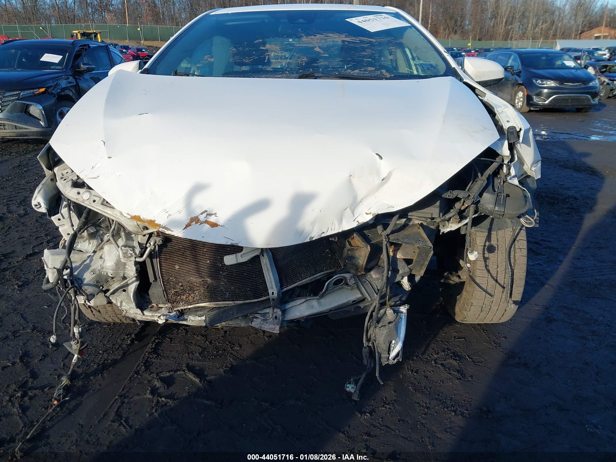 TOYOTA COROLLA image 6