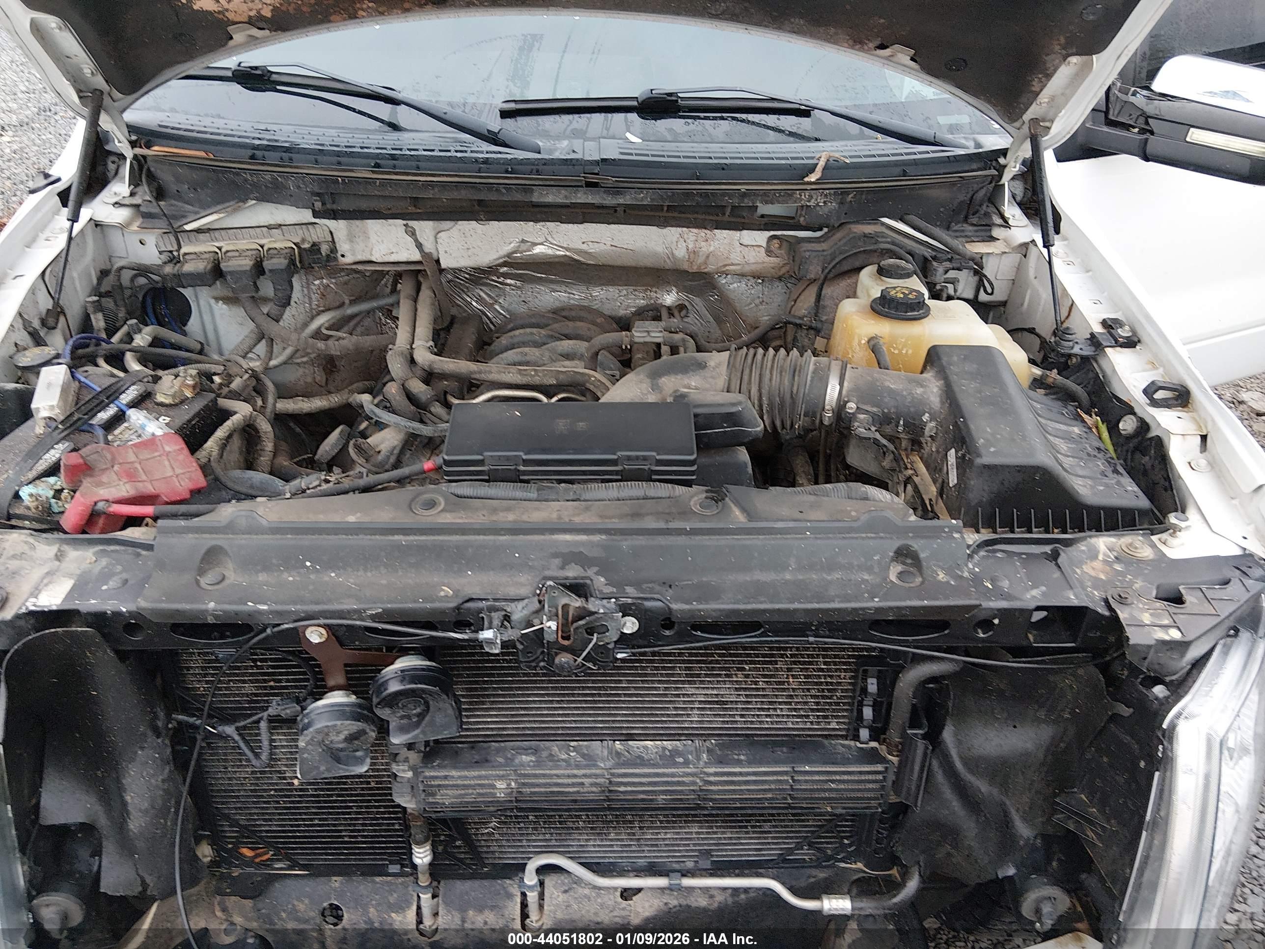 FORD F-150 image 10