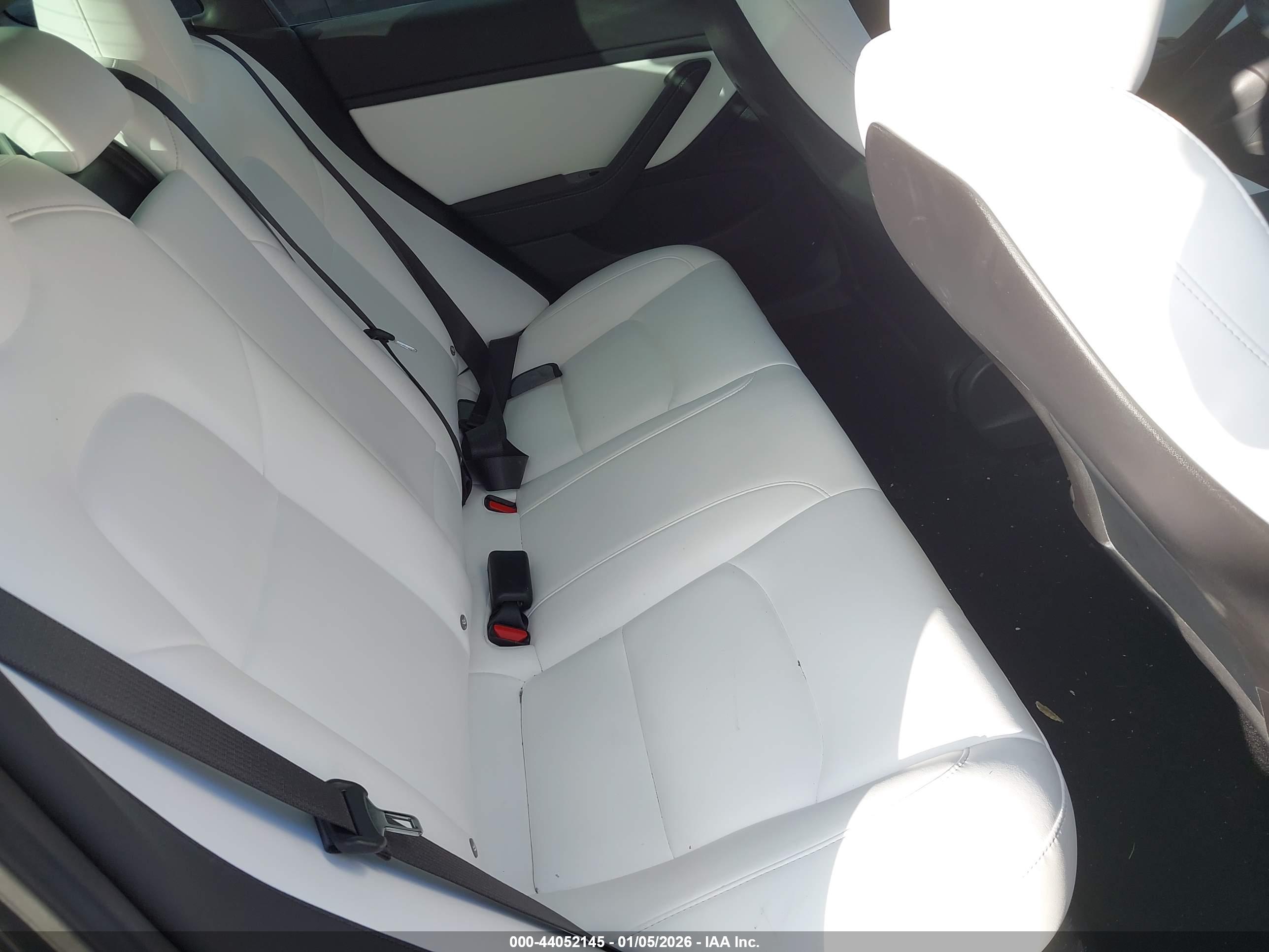 TESLA MODEL image 8