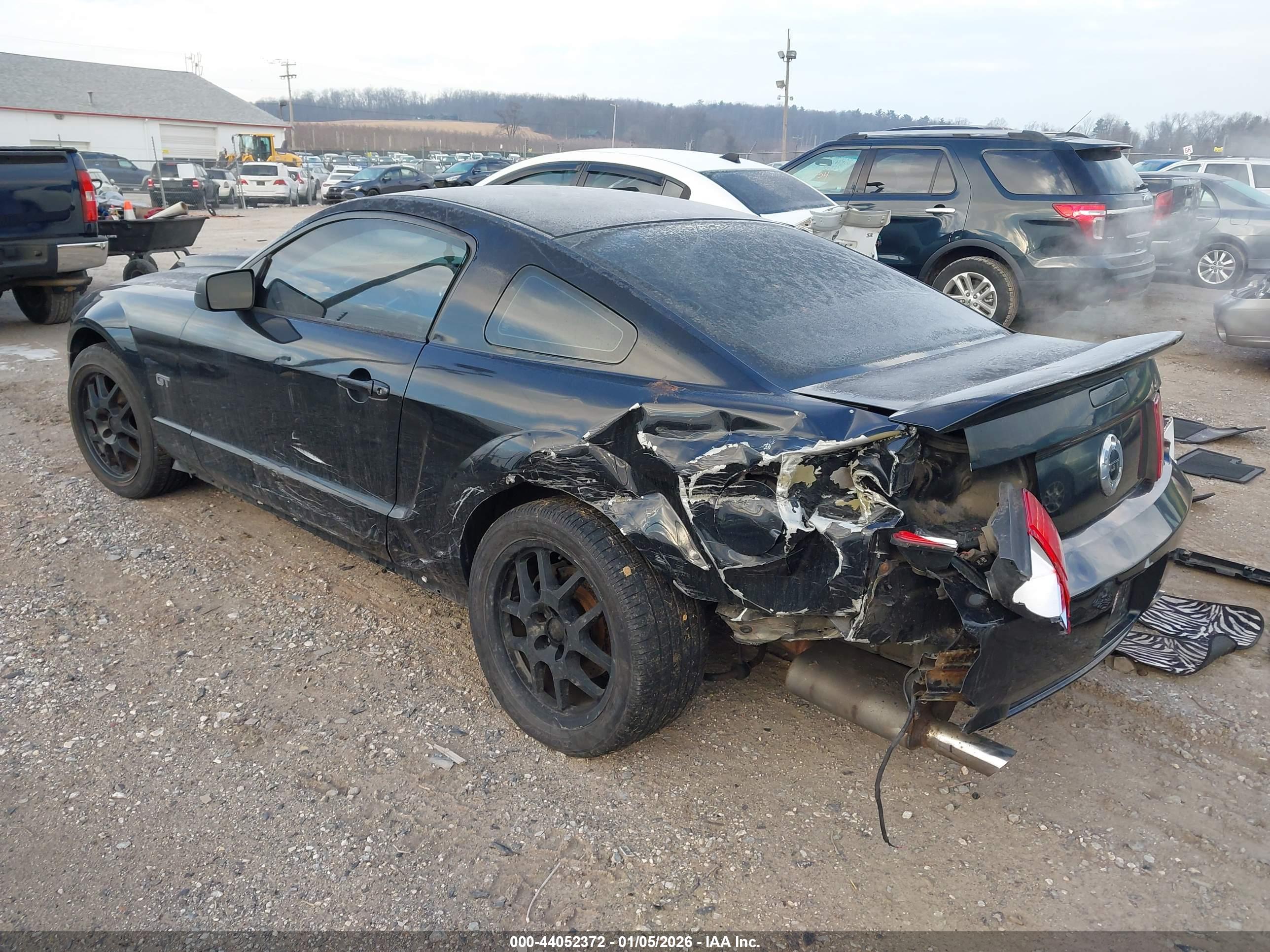 FORD MUSTANG image 3