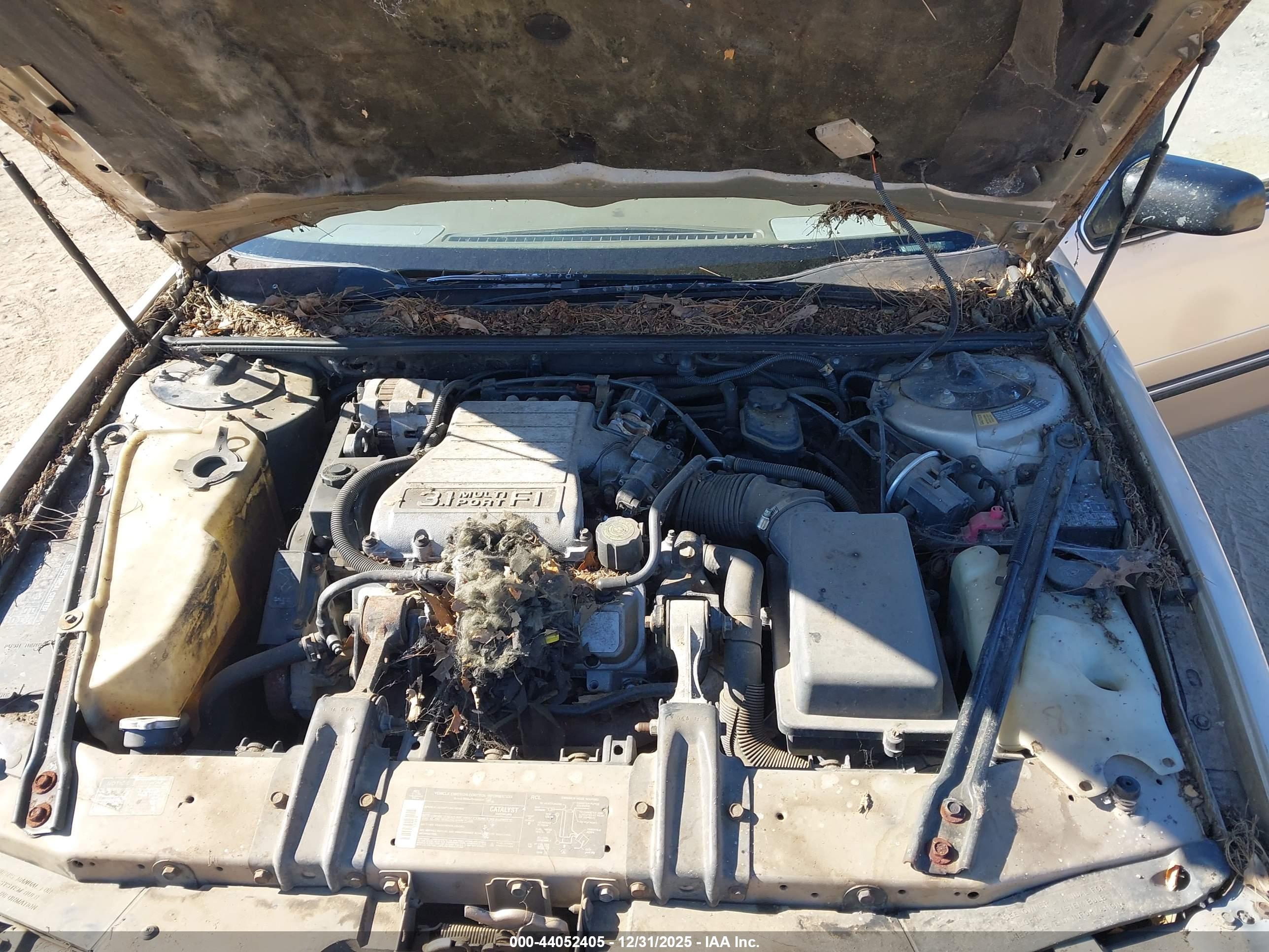 CHEVROLET LUMINA image 10