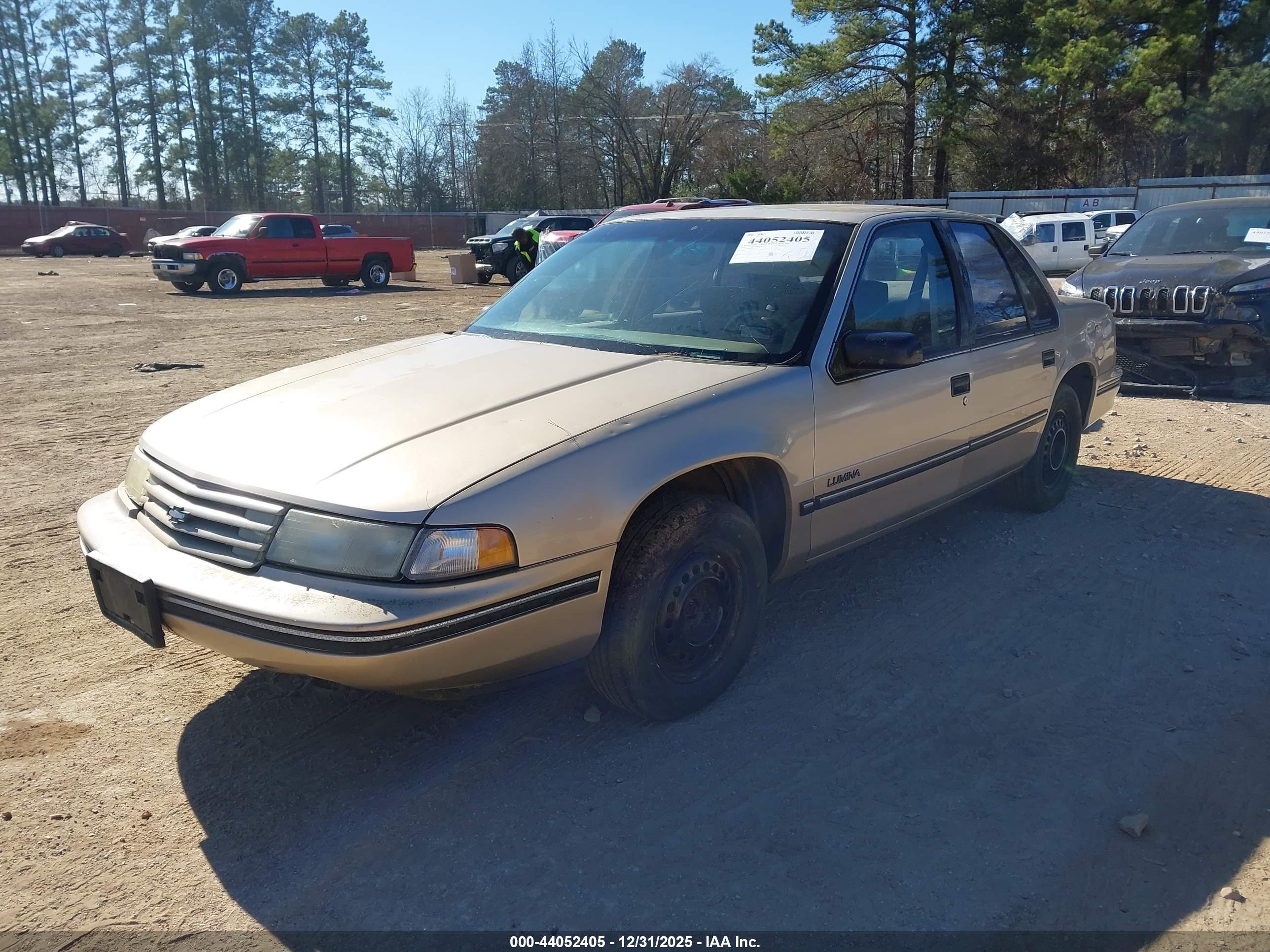 CHEVROLET LUMINA image 2