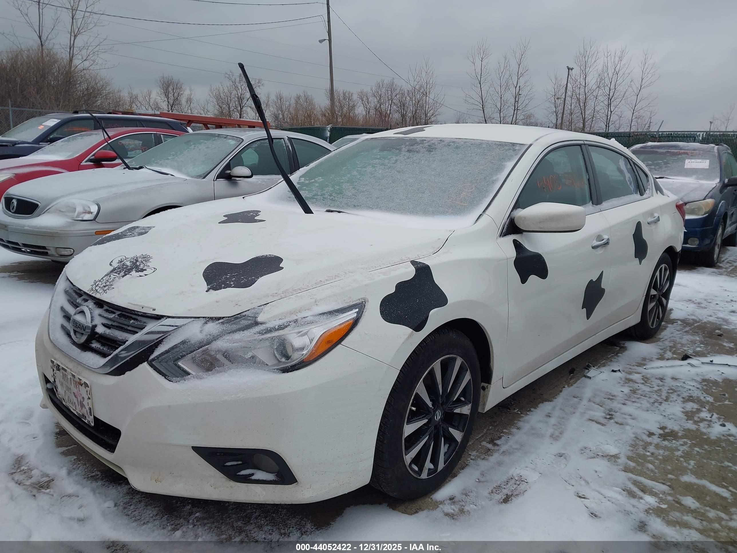 NISSAN ALTIMA image 2