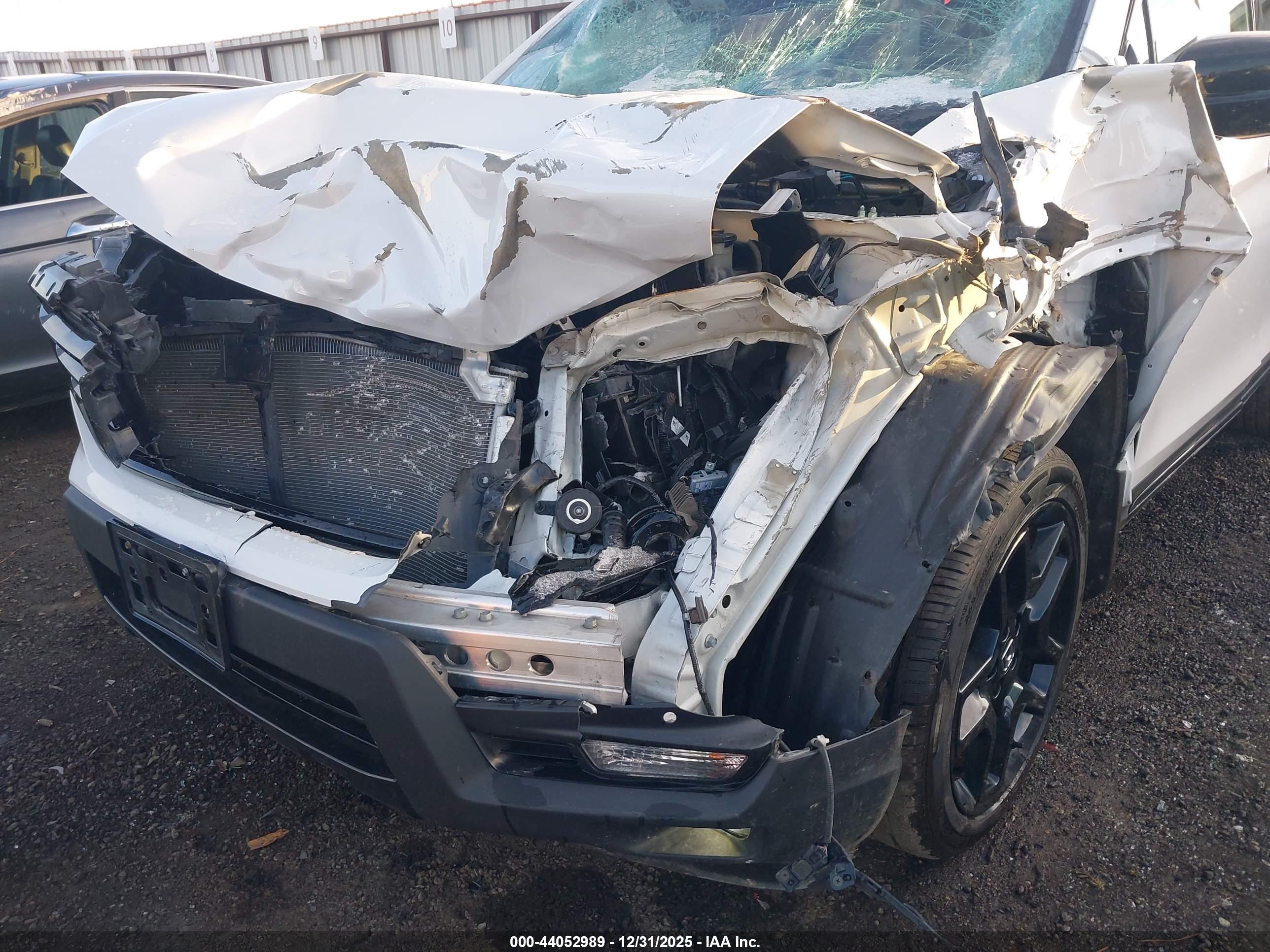 HONDA PASSPORT image 6