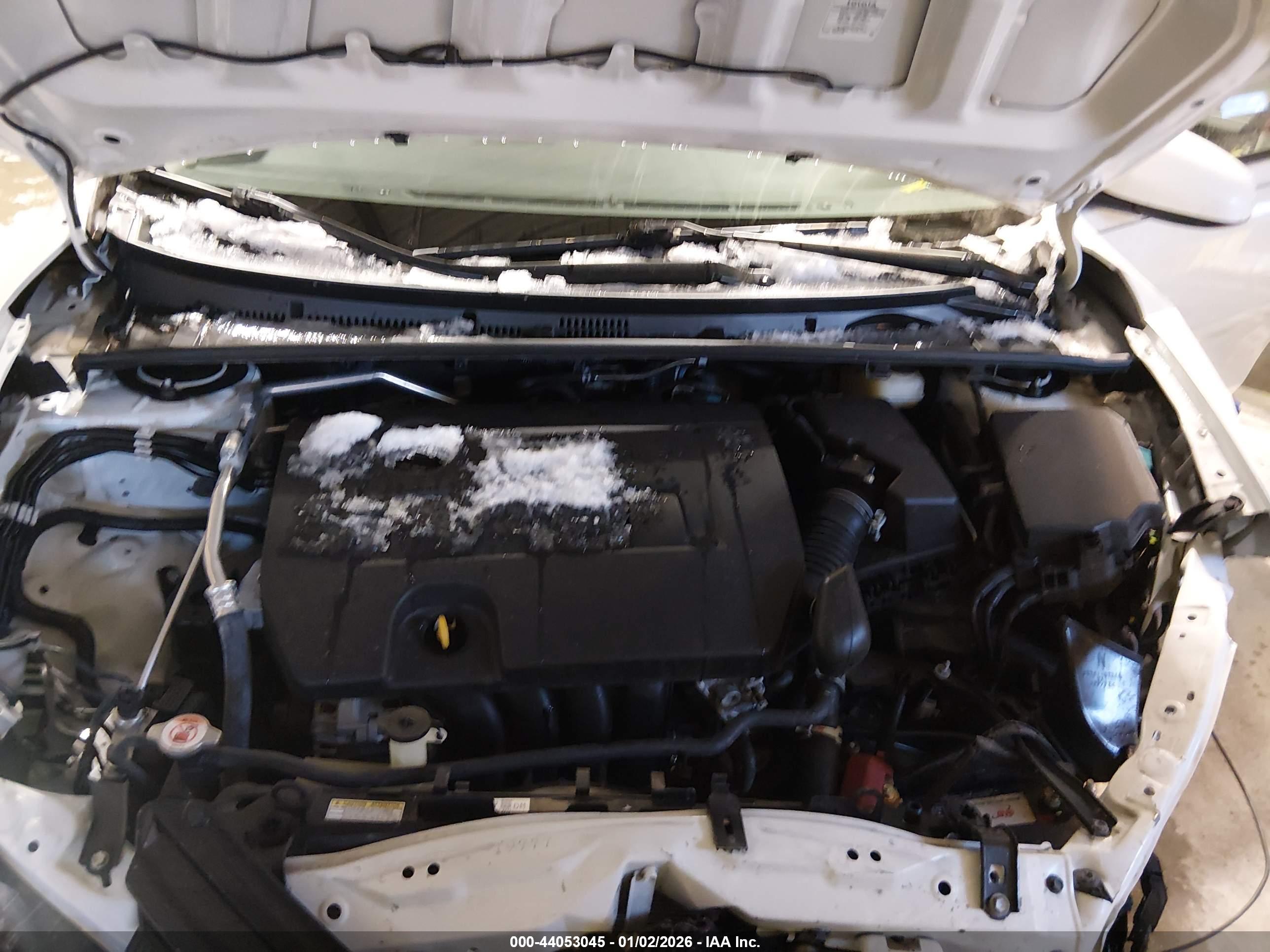 TOYOTA COROLLA image 10