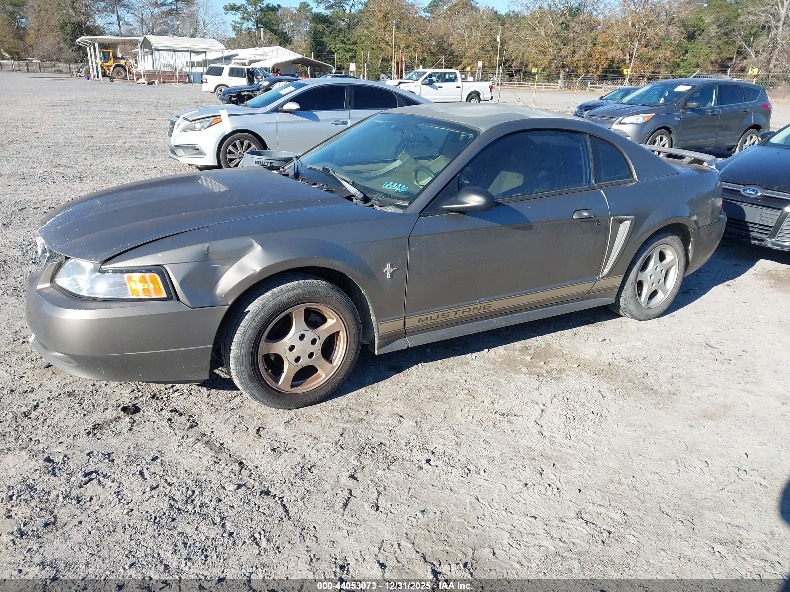 FORD MUSTANG image 2