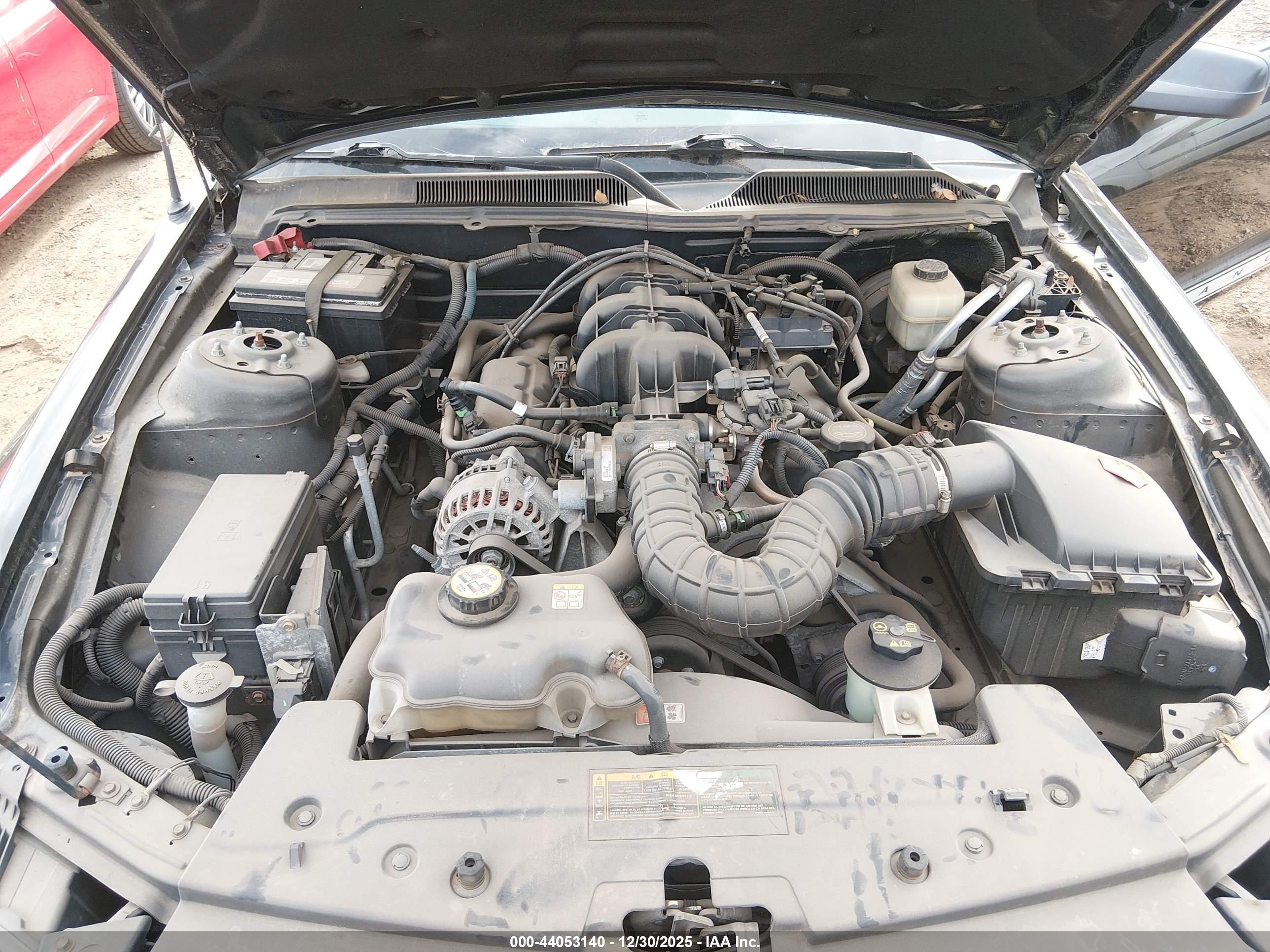 FORD MUSTANG image 10