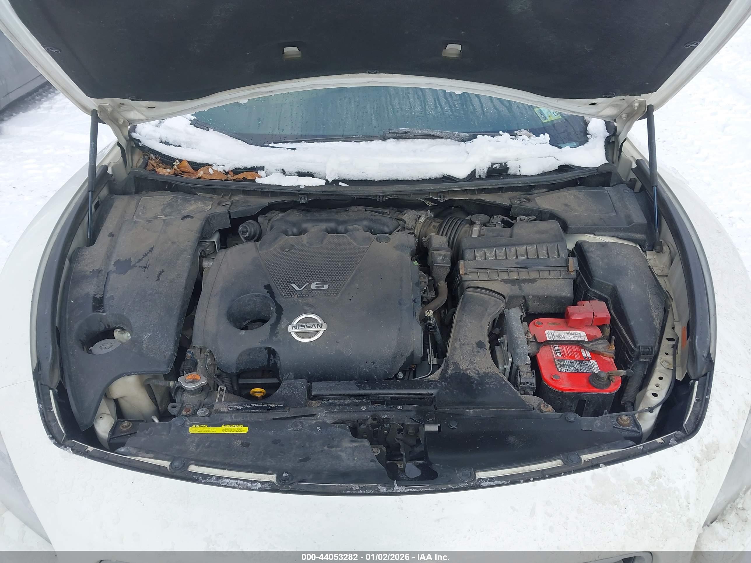 NISSAN MAXIMA image 10