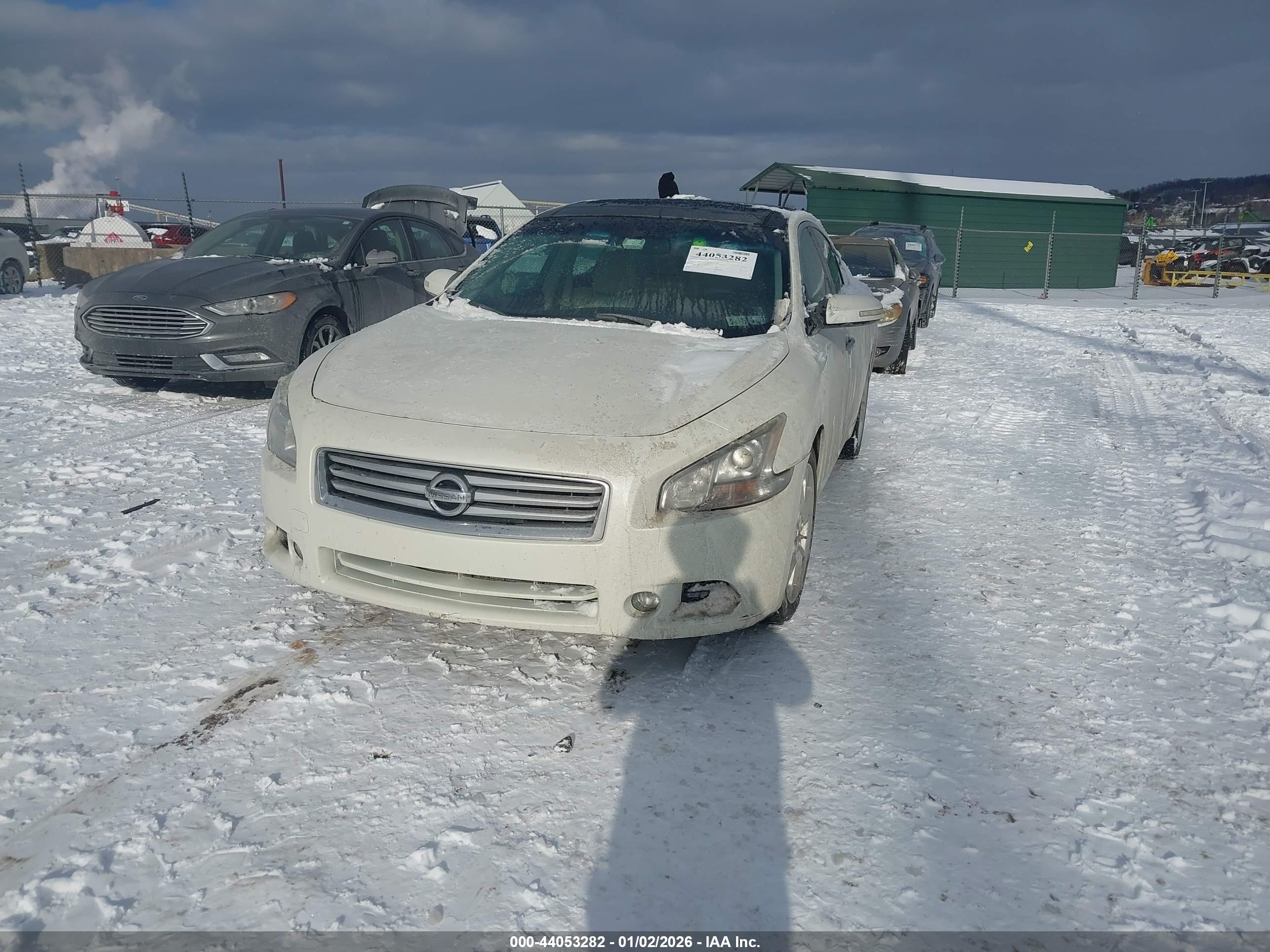 NISSAN MAXIMA image 2