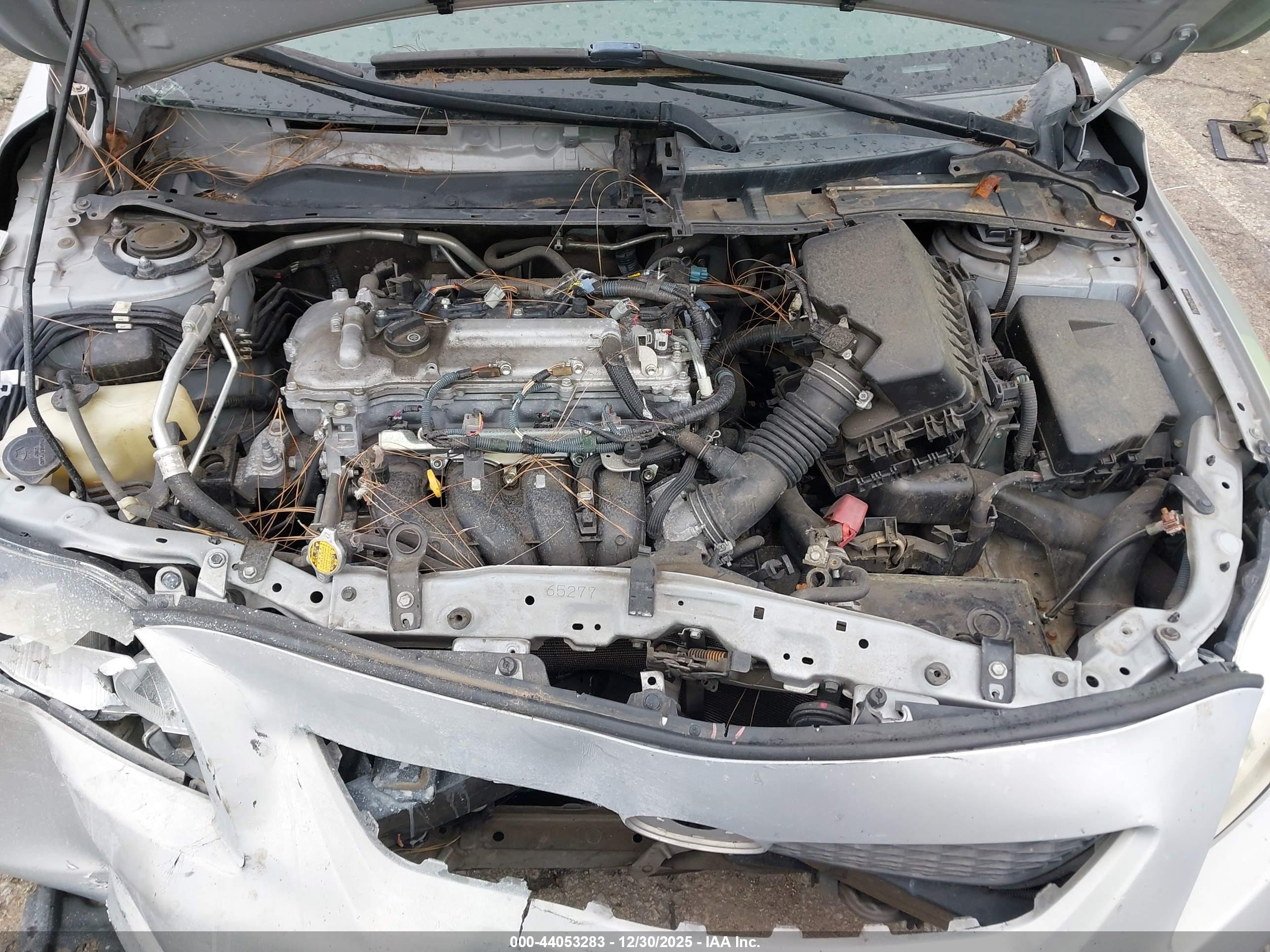 TOYOTA COROLLA image 10