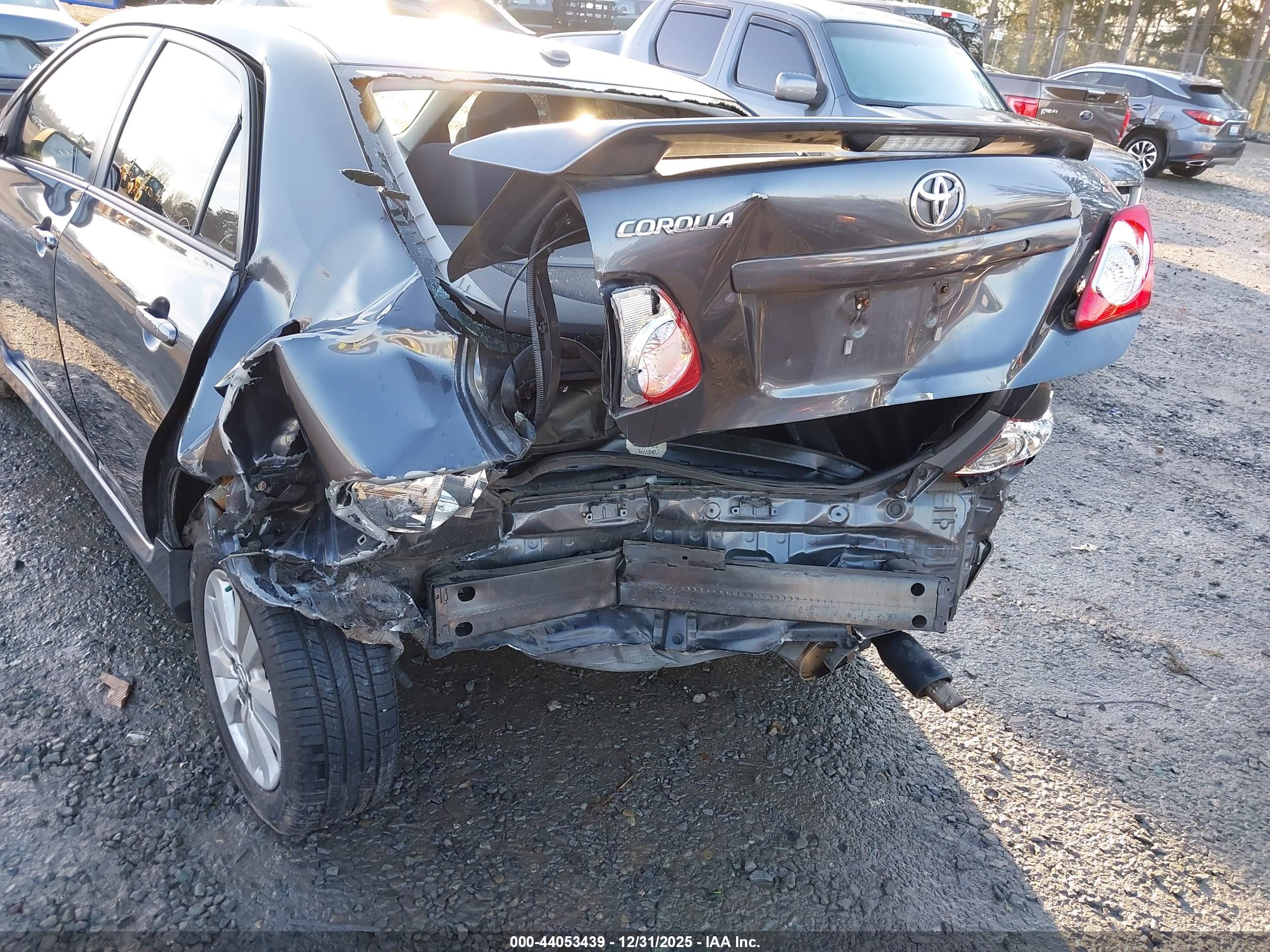 TOYOTA COROLLA image 6