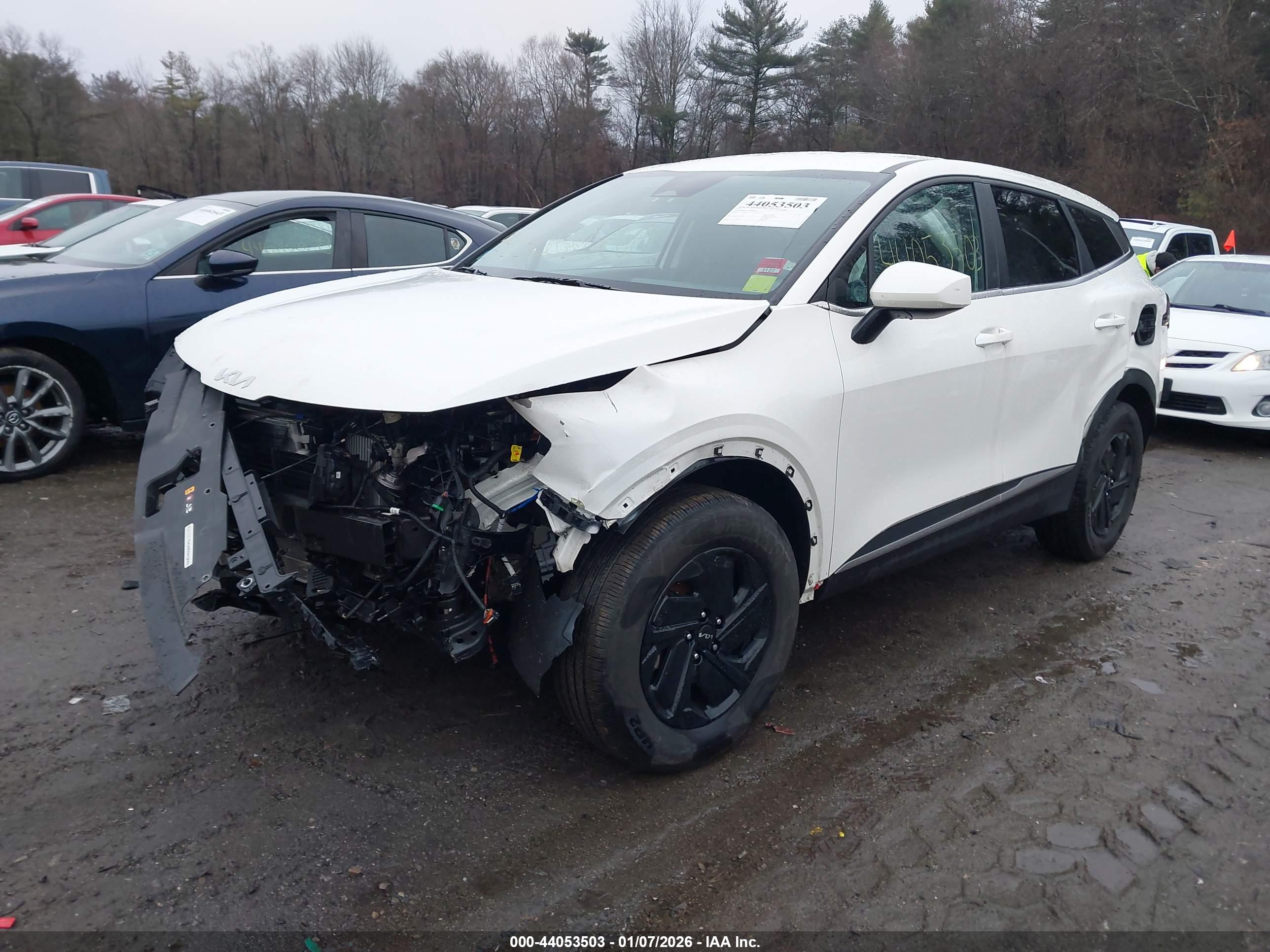 KIA SPORTAGE image 2