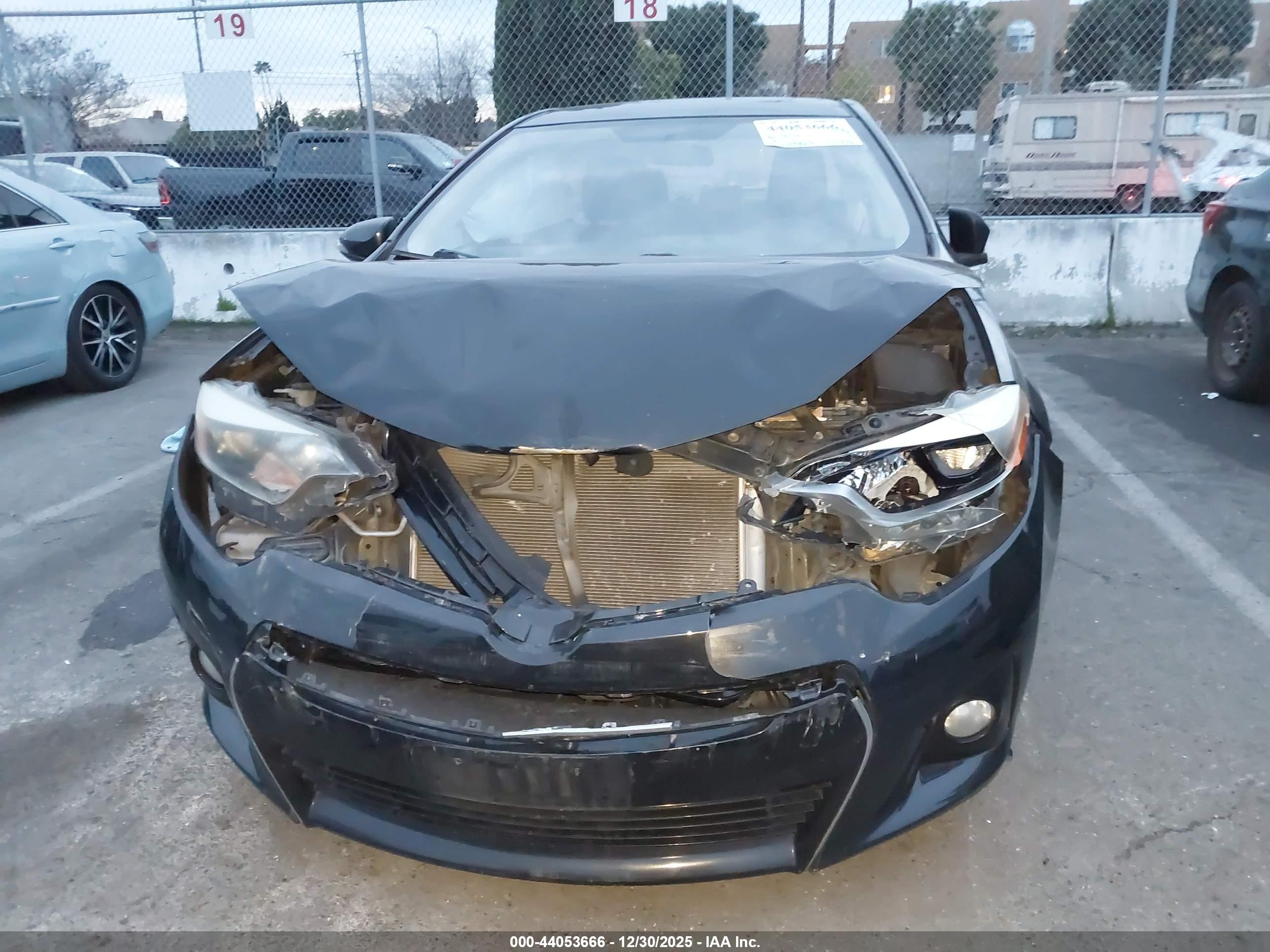 TOYOTA COROLLA image 6