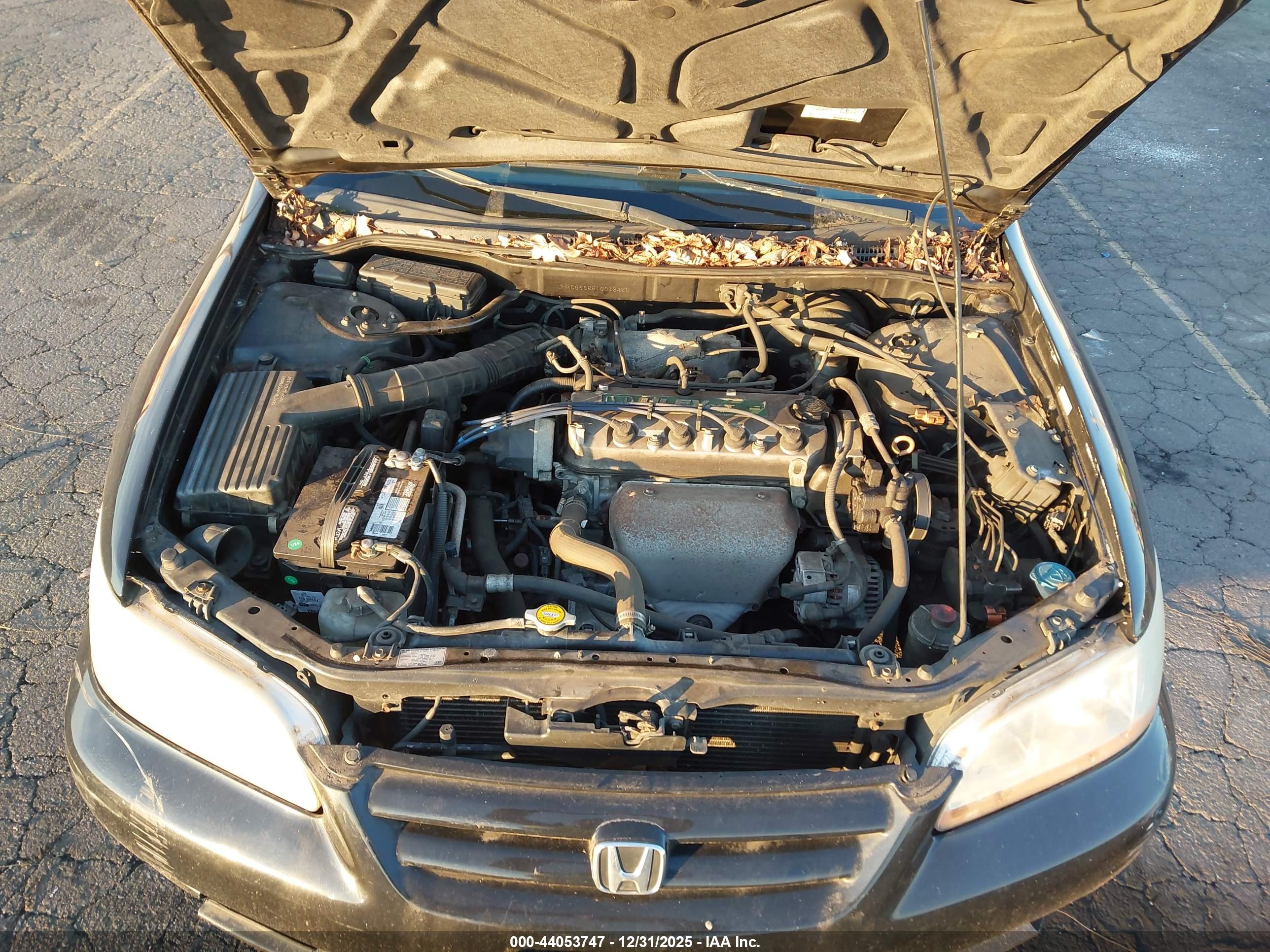 HONDA ACCORD image 10