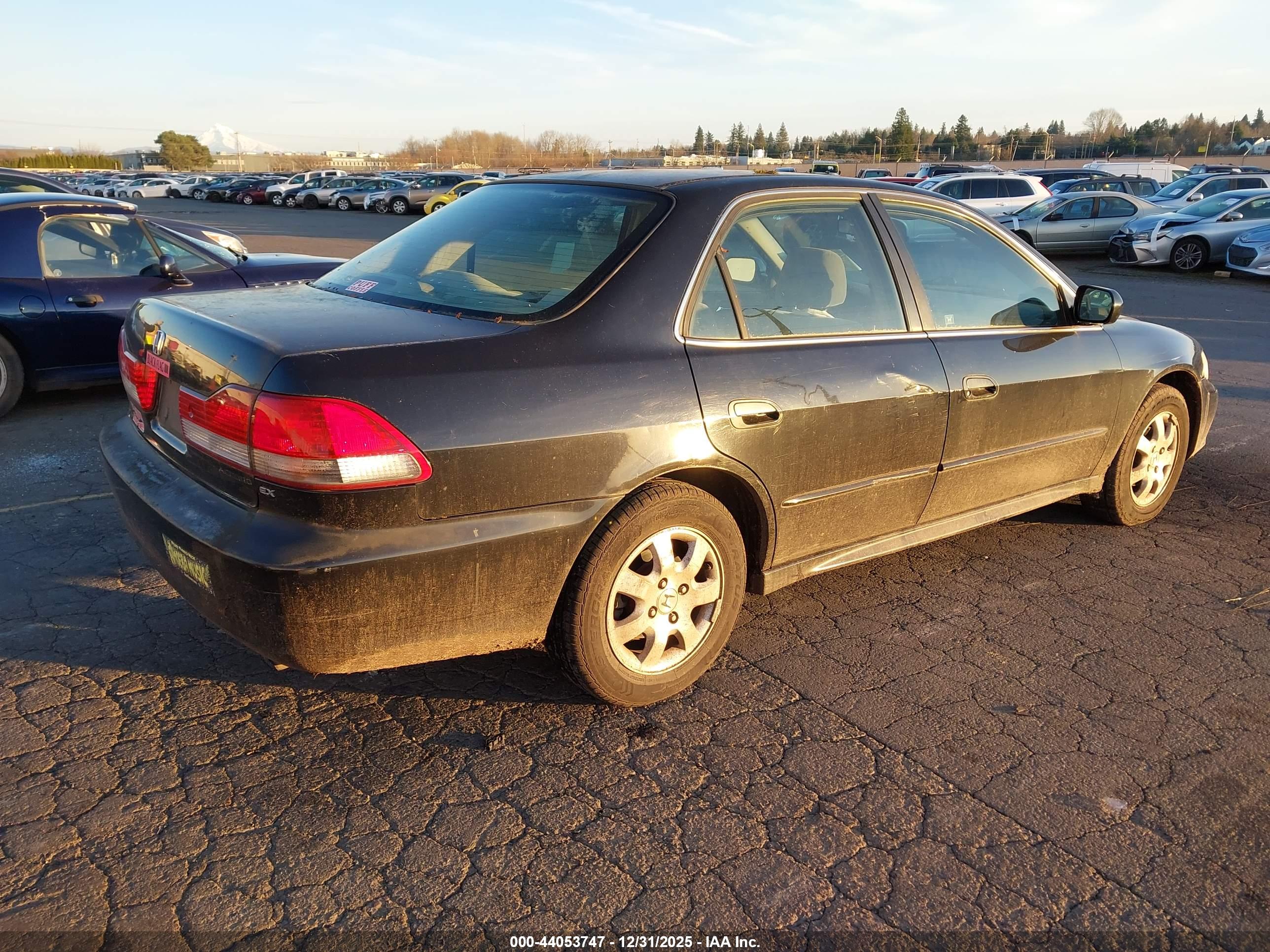 HONDA ACCORD image 4