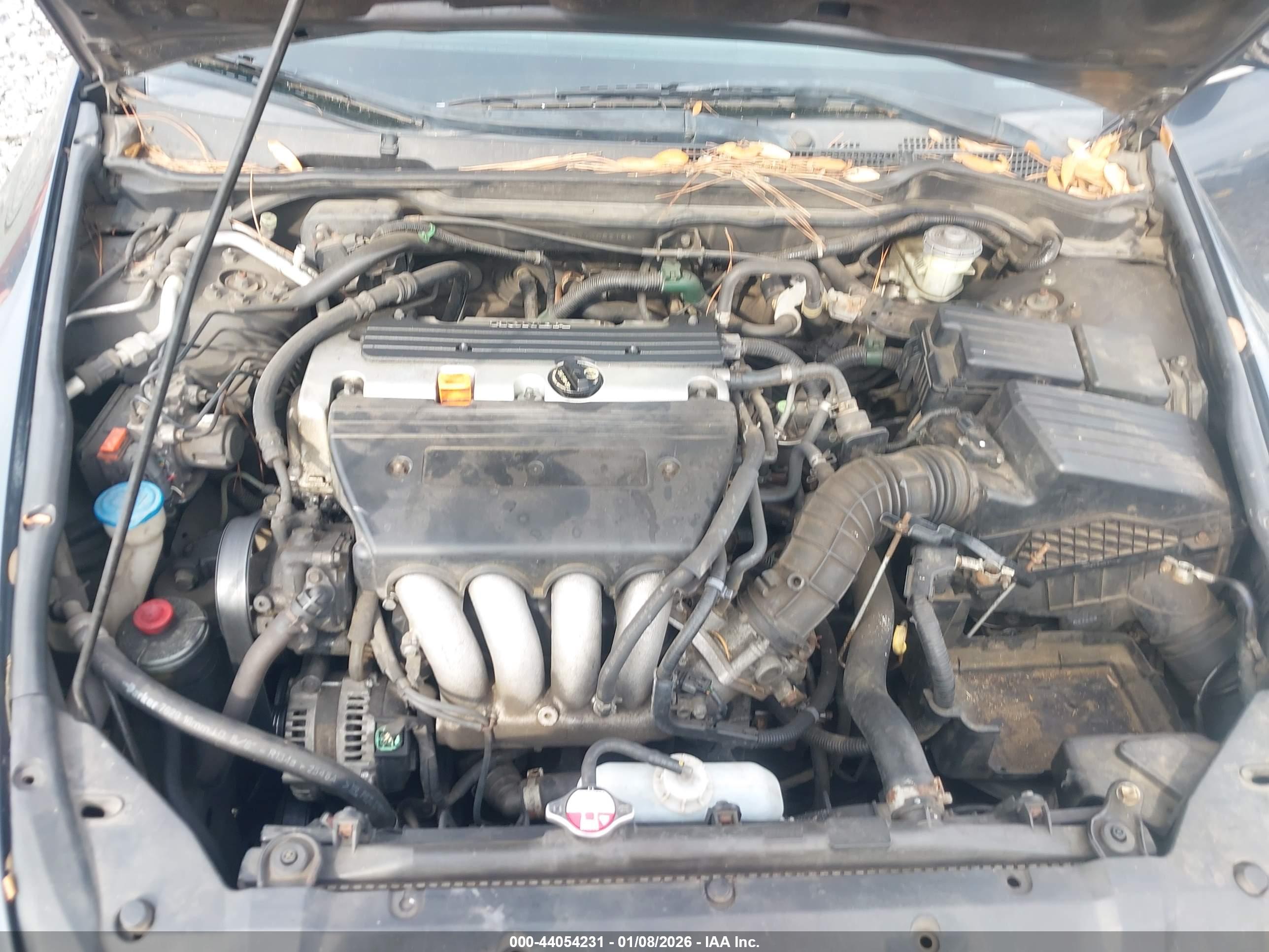 HONDA ACCORD image 10