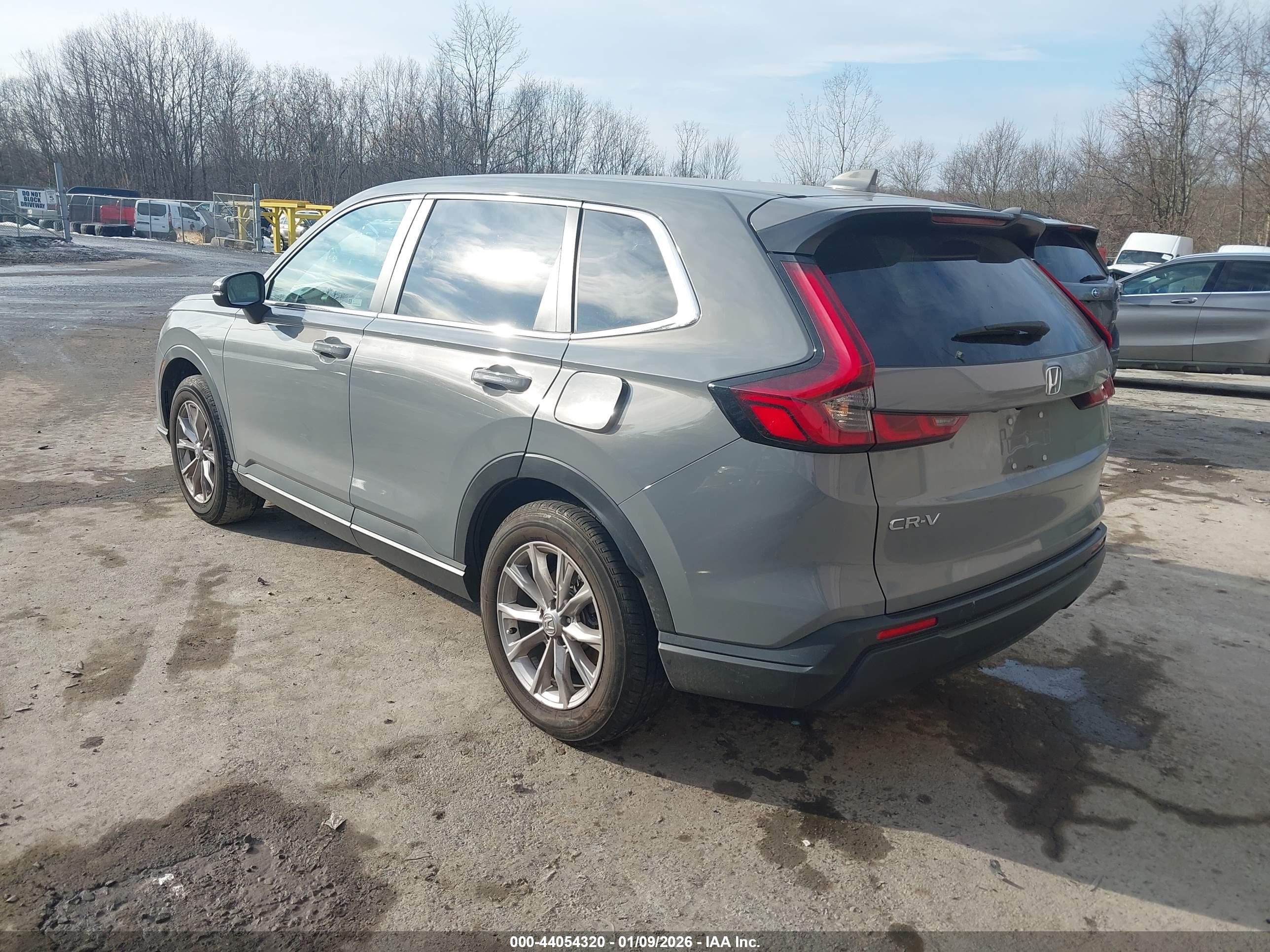 HONDA CR-V image 3