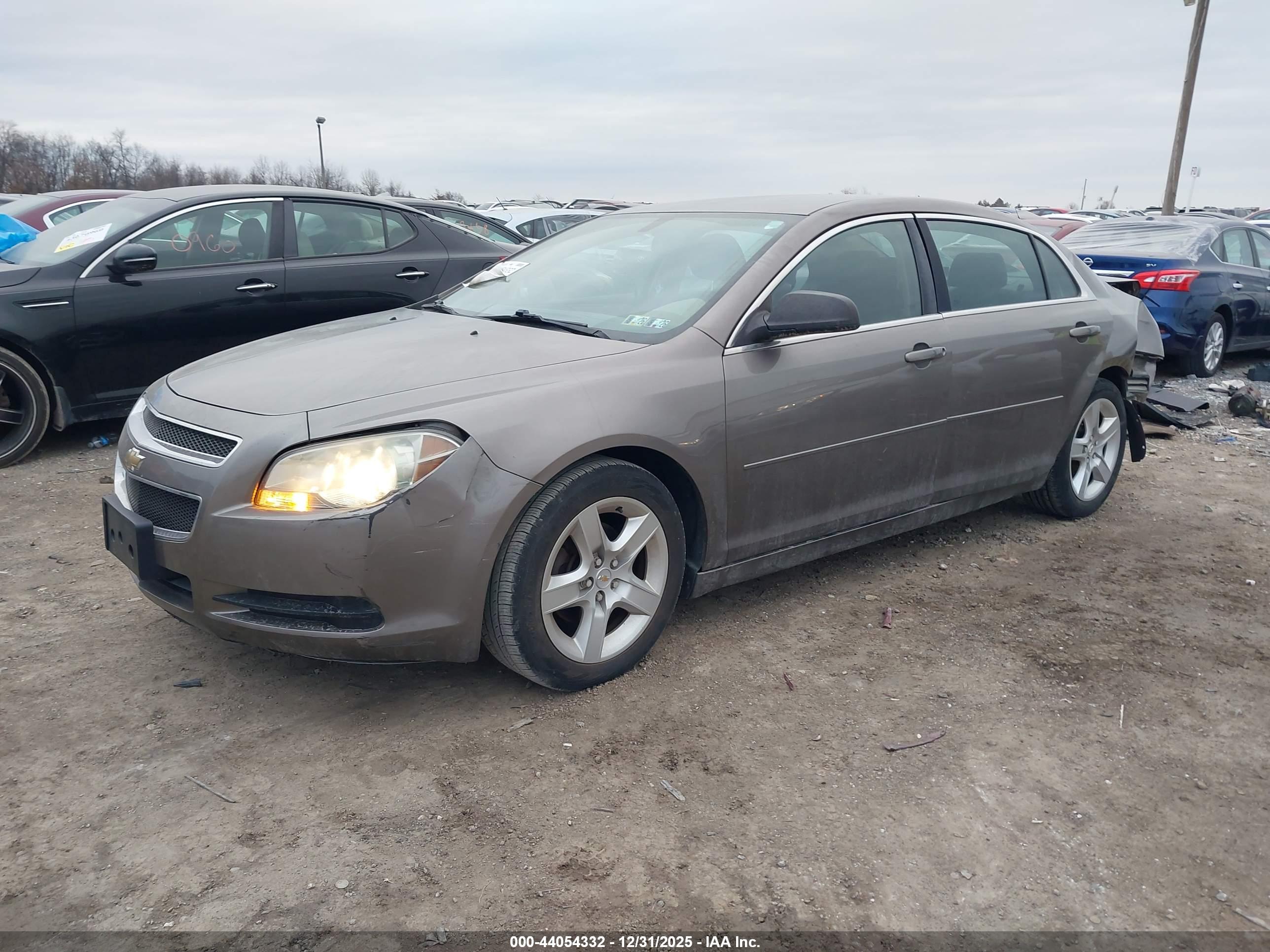 CHEVROLET MALIBU image 2