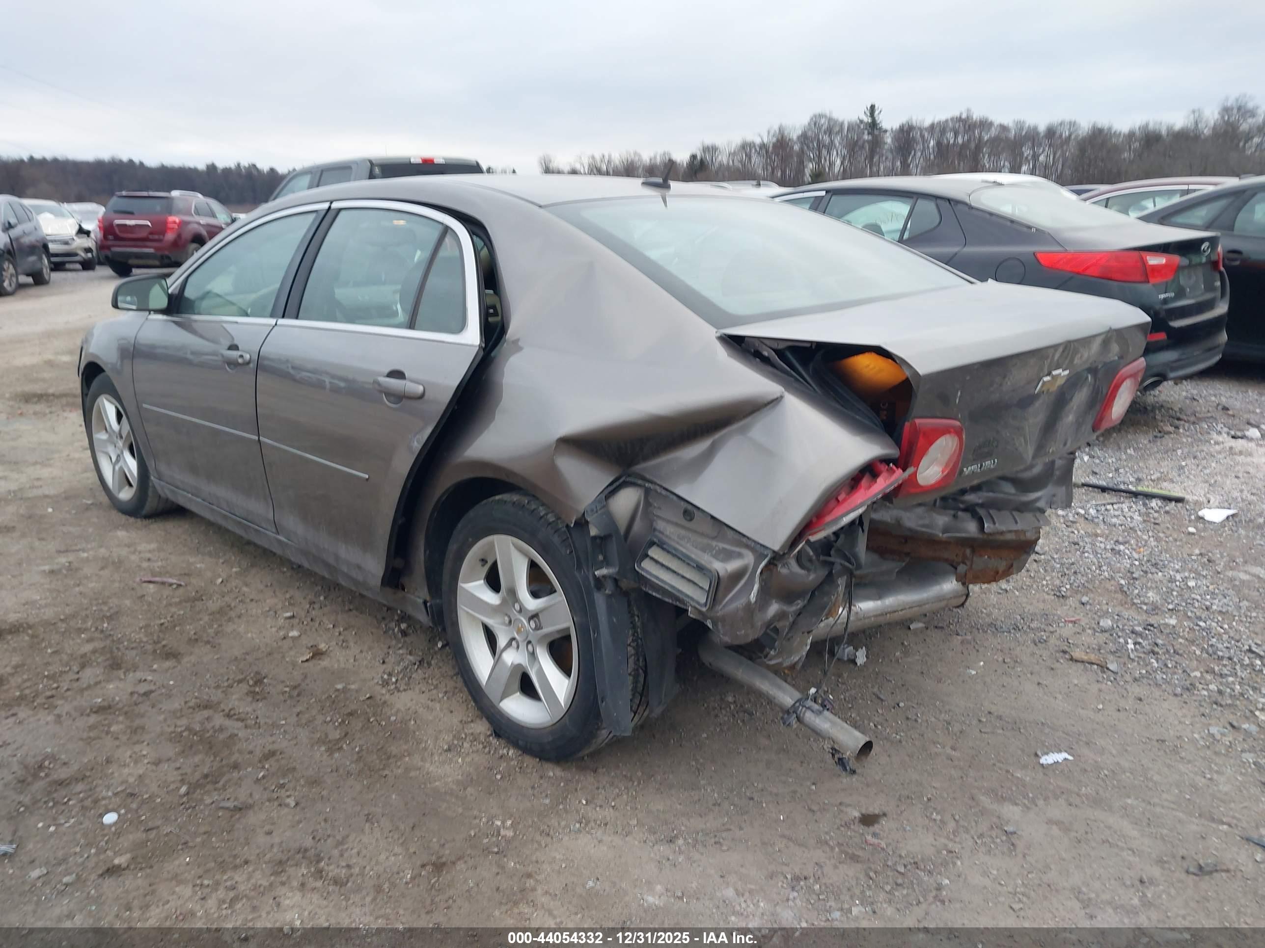 CHEVROLET MALIBU image 3