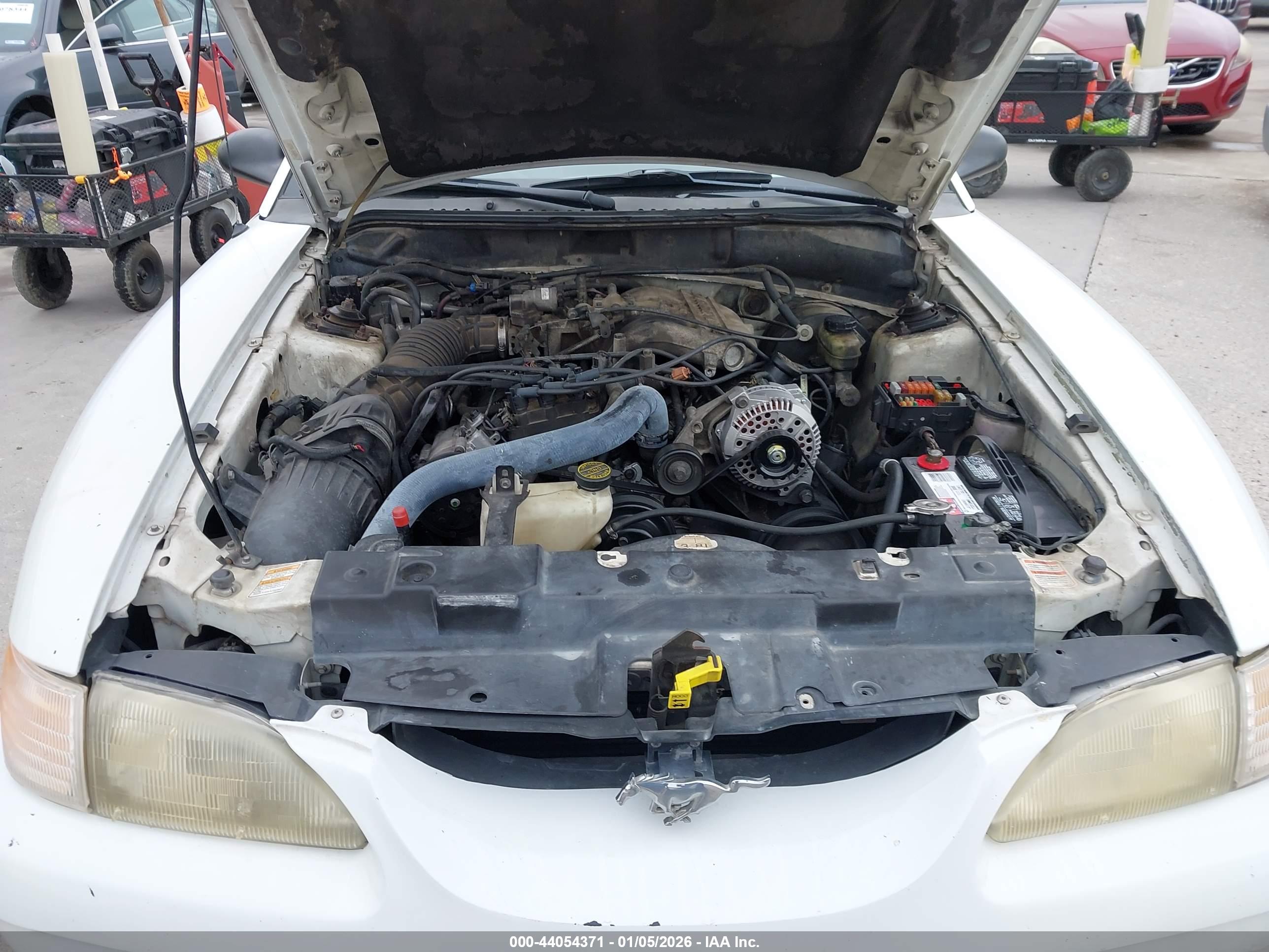 FORD MUSTANG image 10