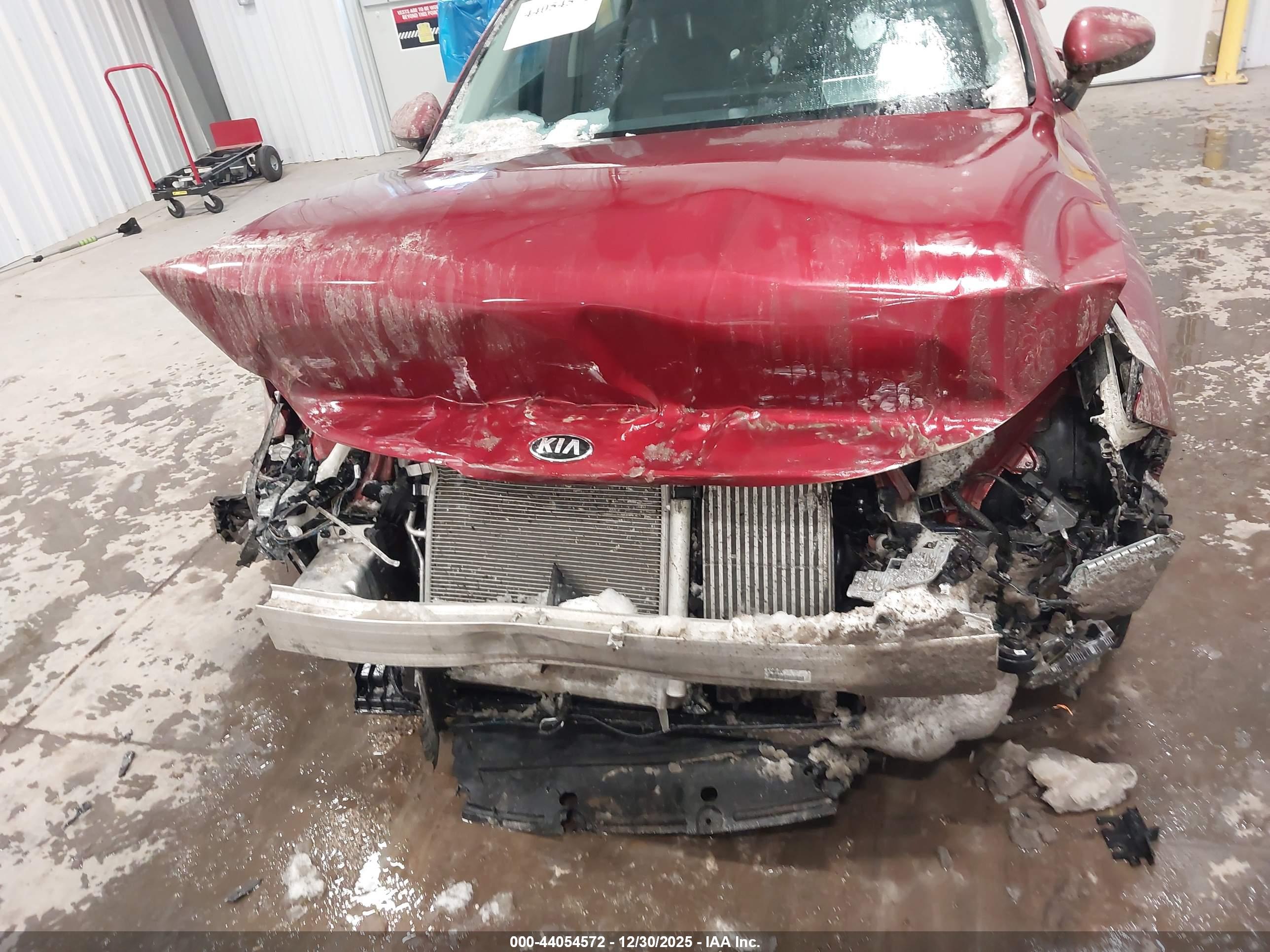 KIA K5 image 6