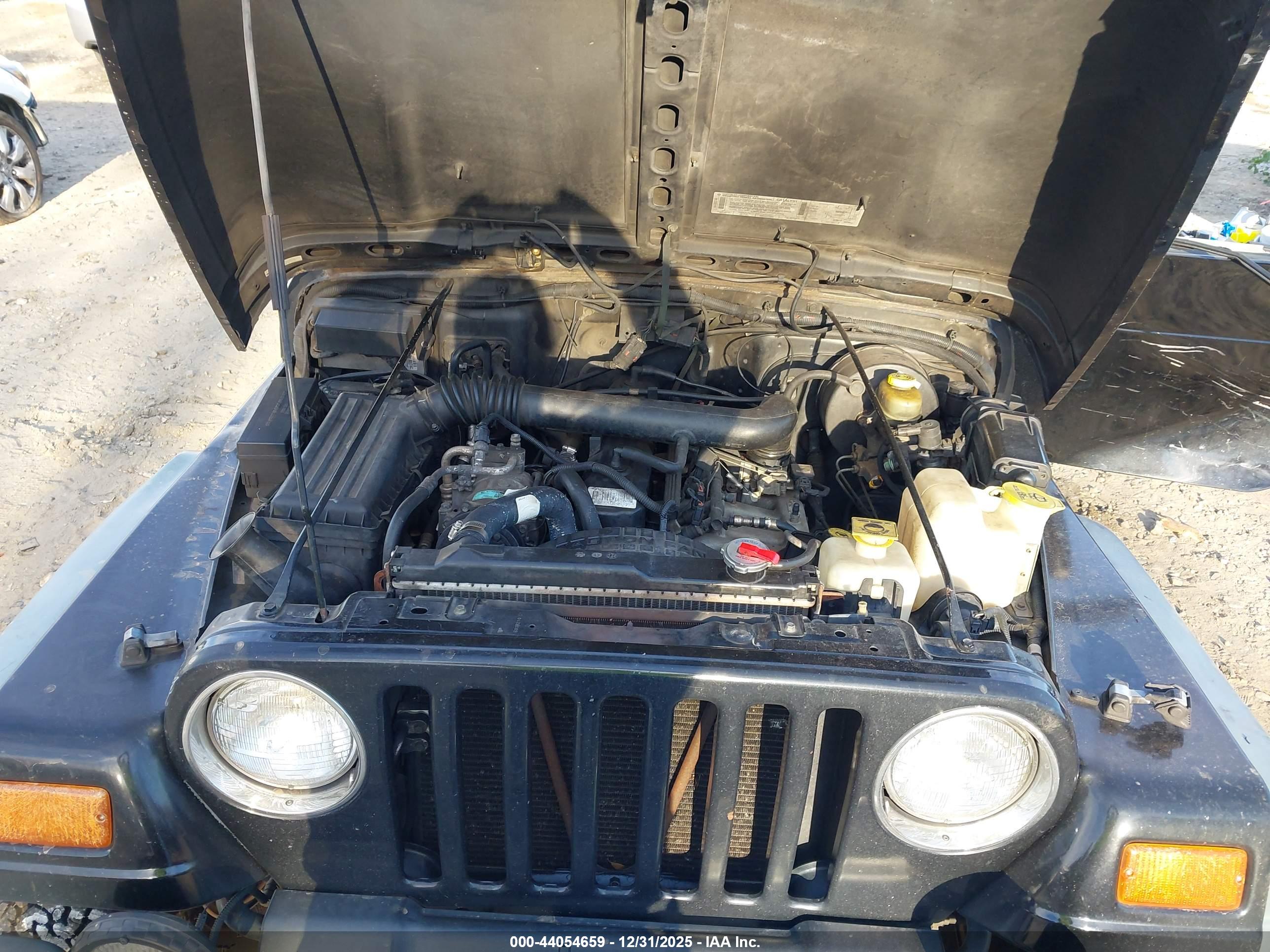 JEEP WRANGLER image 10