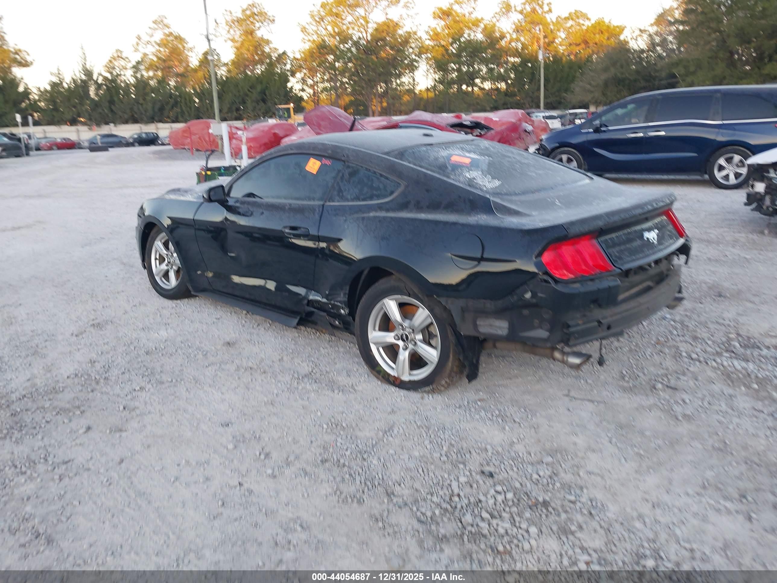 FORD MUSTANG image 3