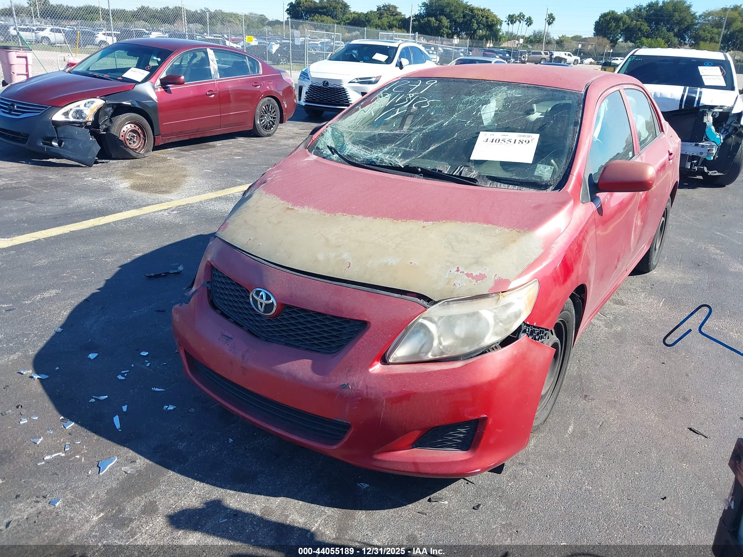 TOYOTA COROLLA image 6