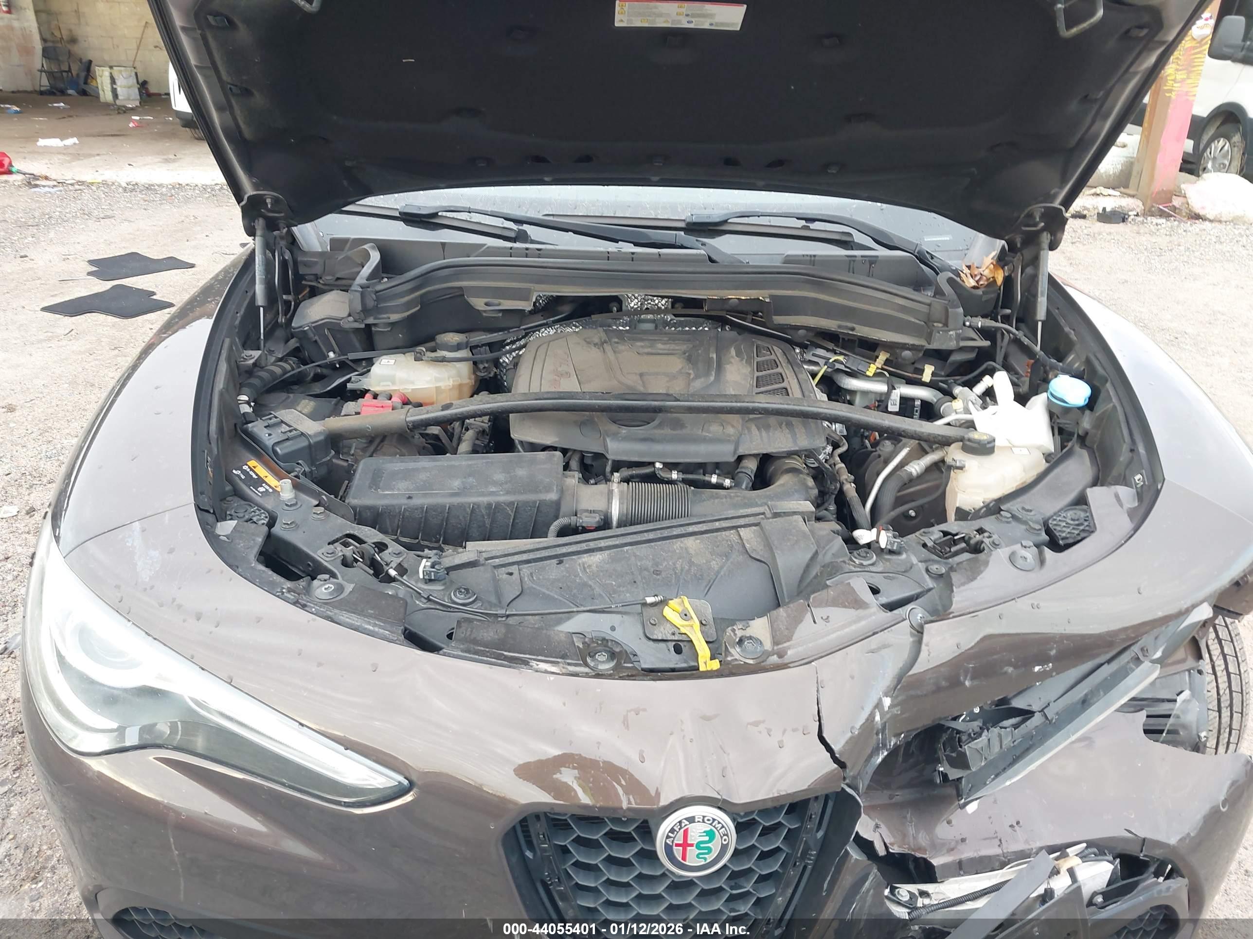 ALFA ROMEO image 10