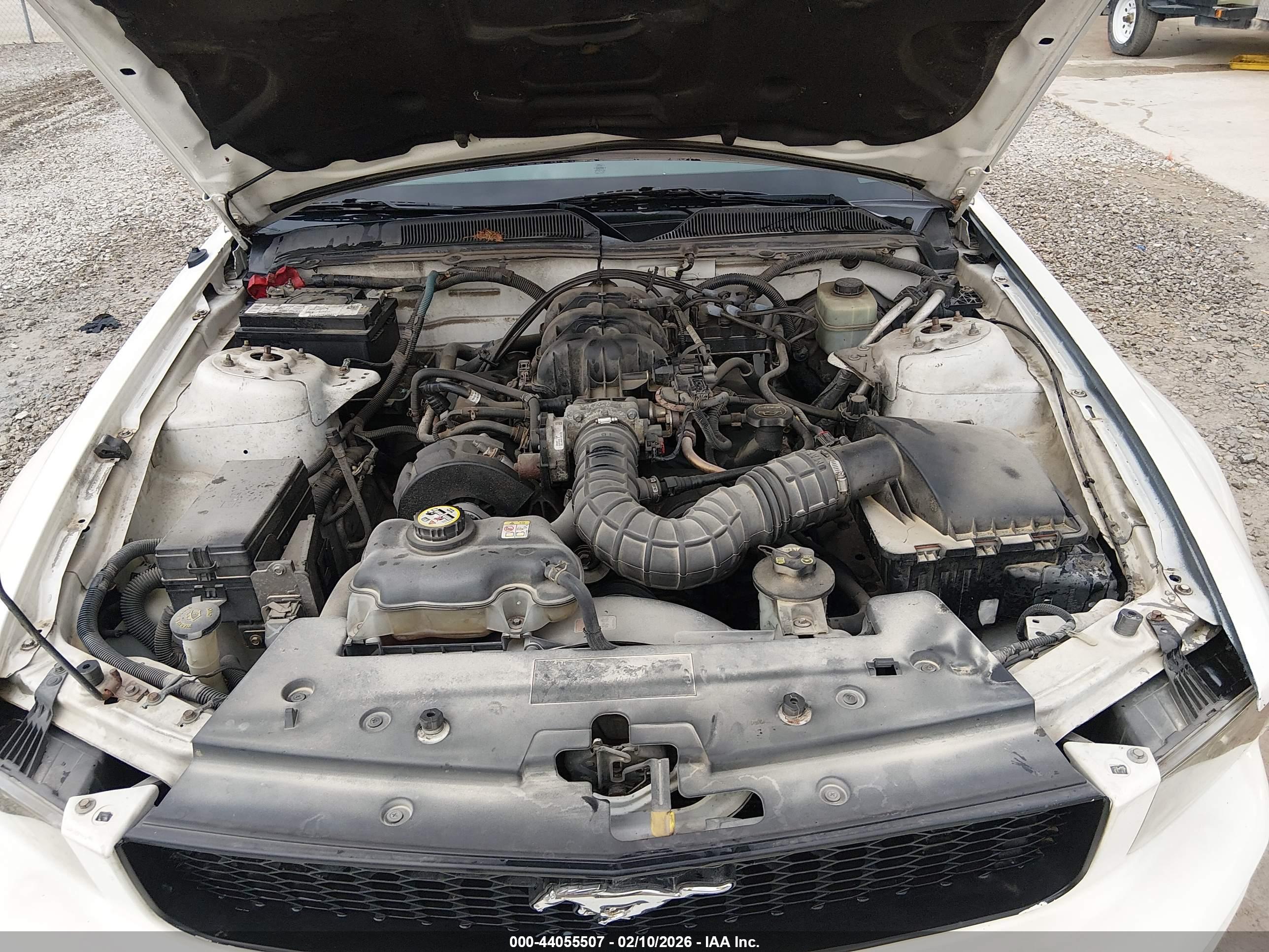FORD MUSTANG image 10