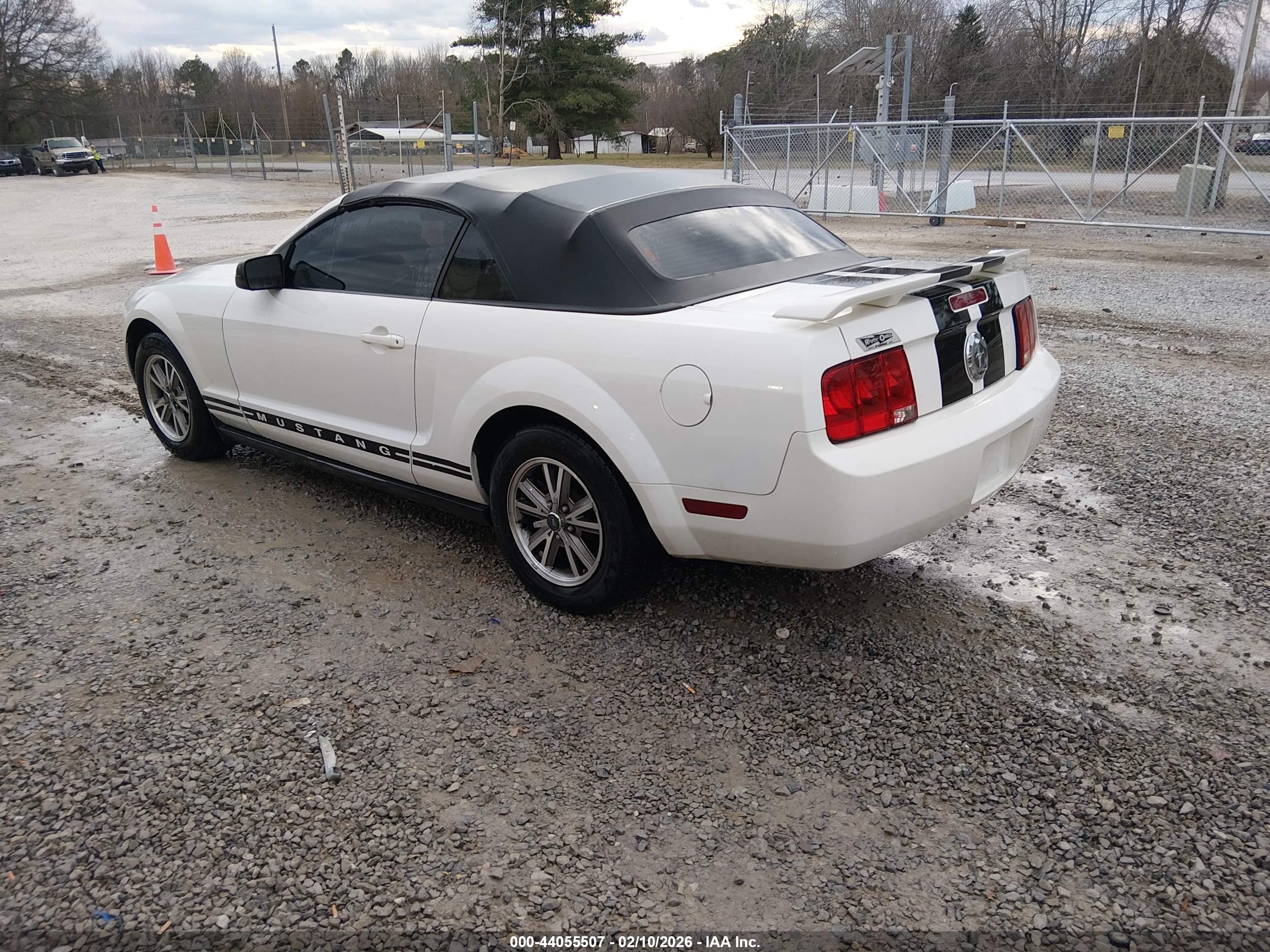 FORD MUSTANG image 3